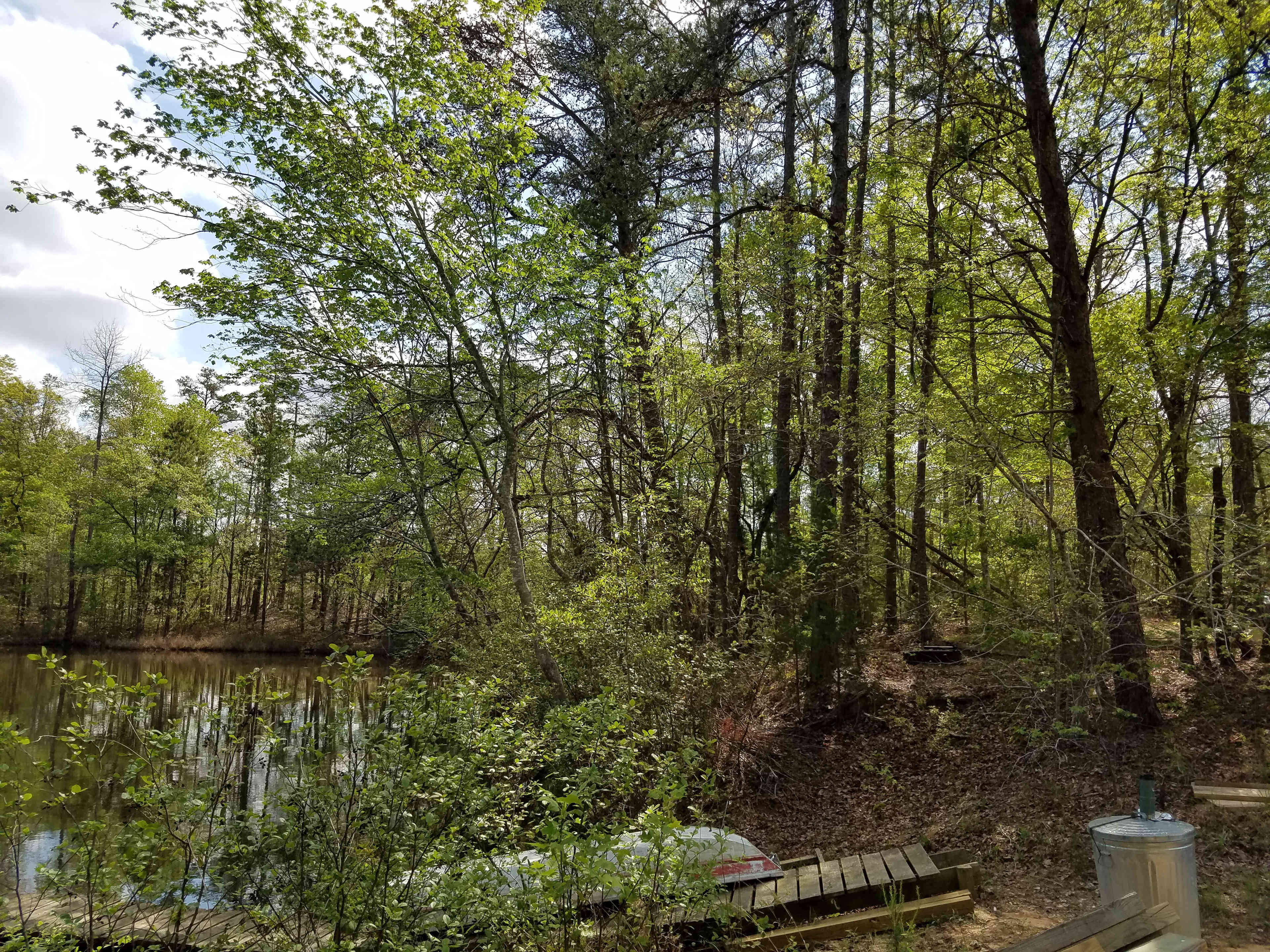 dock looking up at site