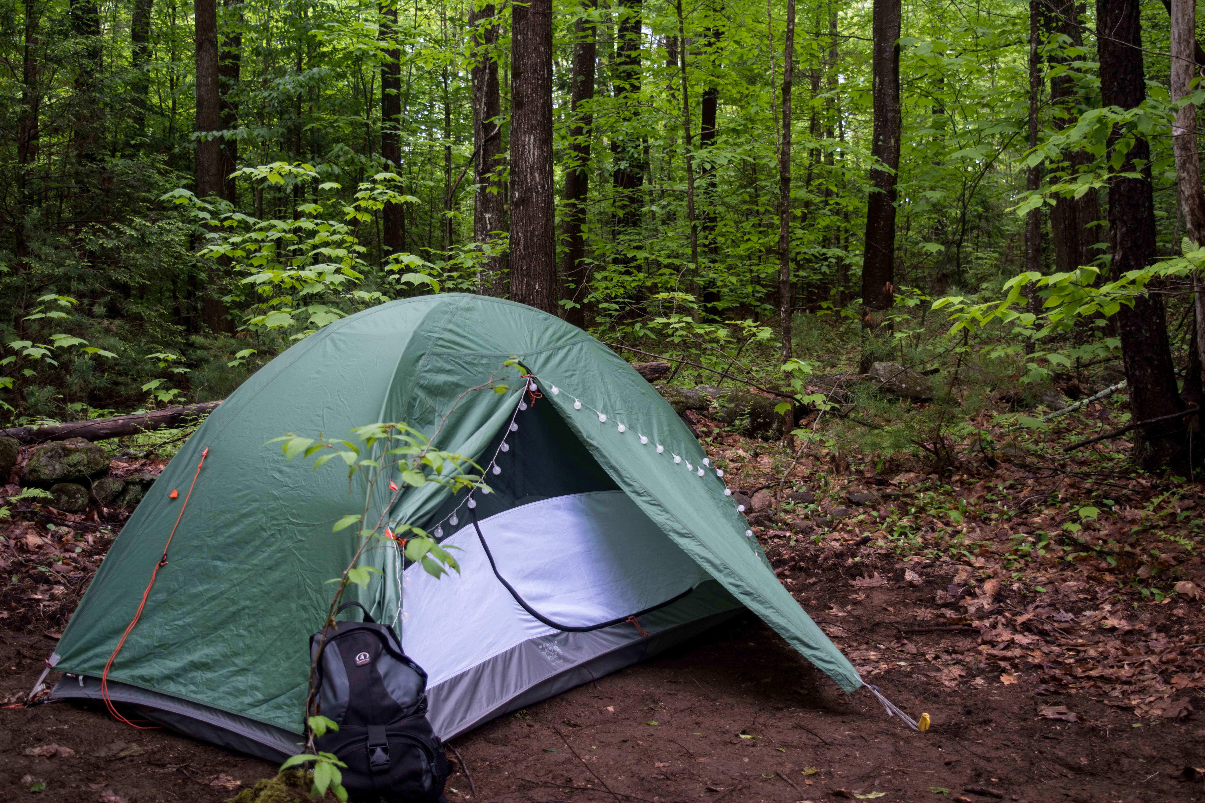 The tent site in the forest