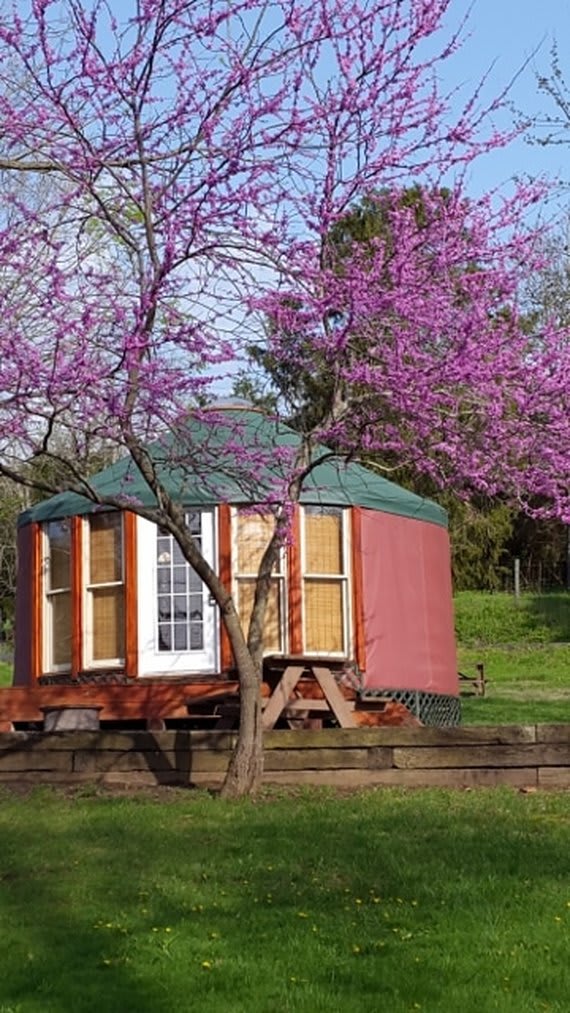 The beautiful Painted Horse Yurt! 
