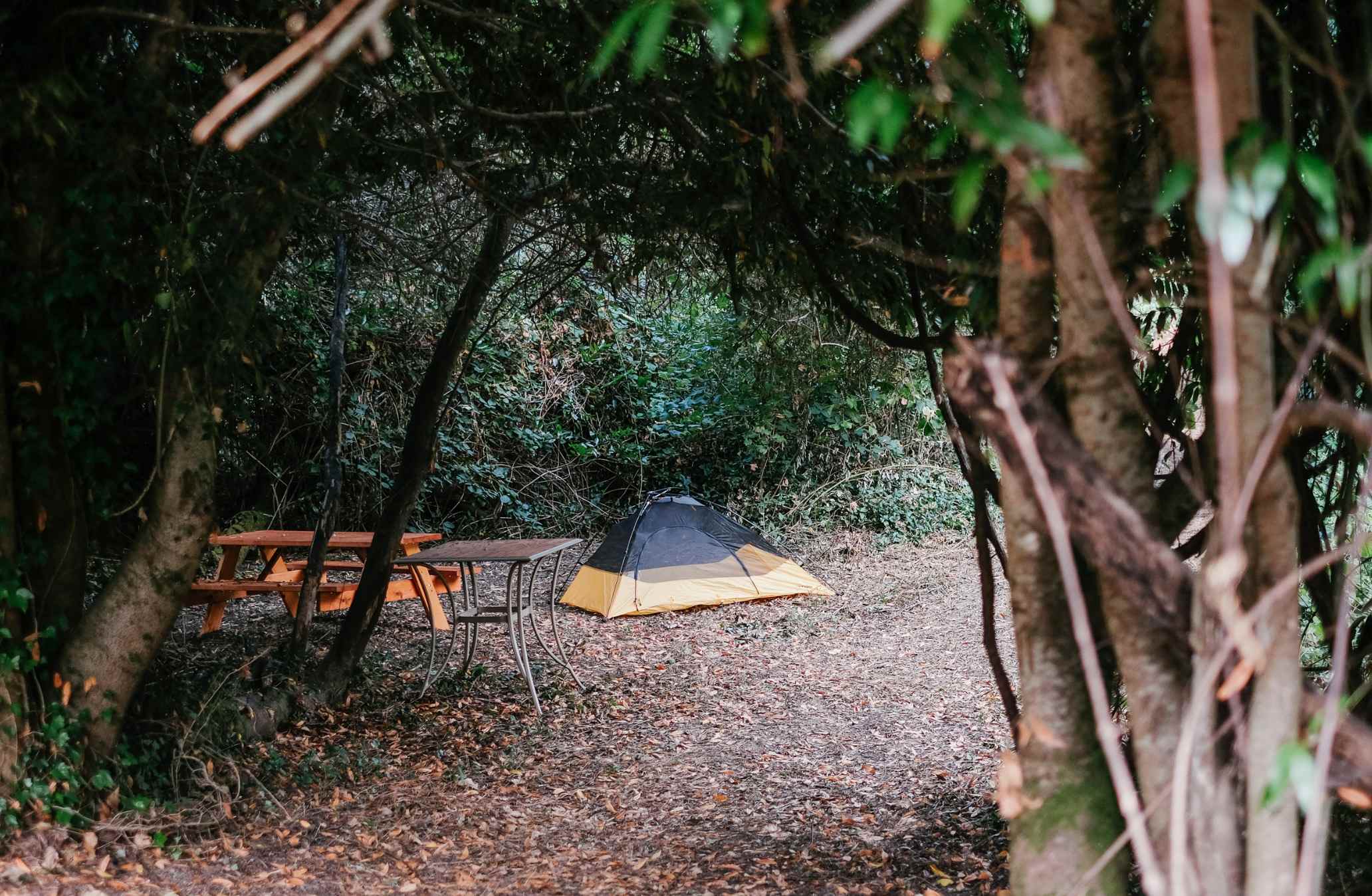 Deer Meadow camp. Photo by Jay Kijai.

