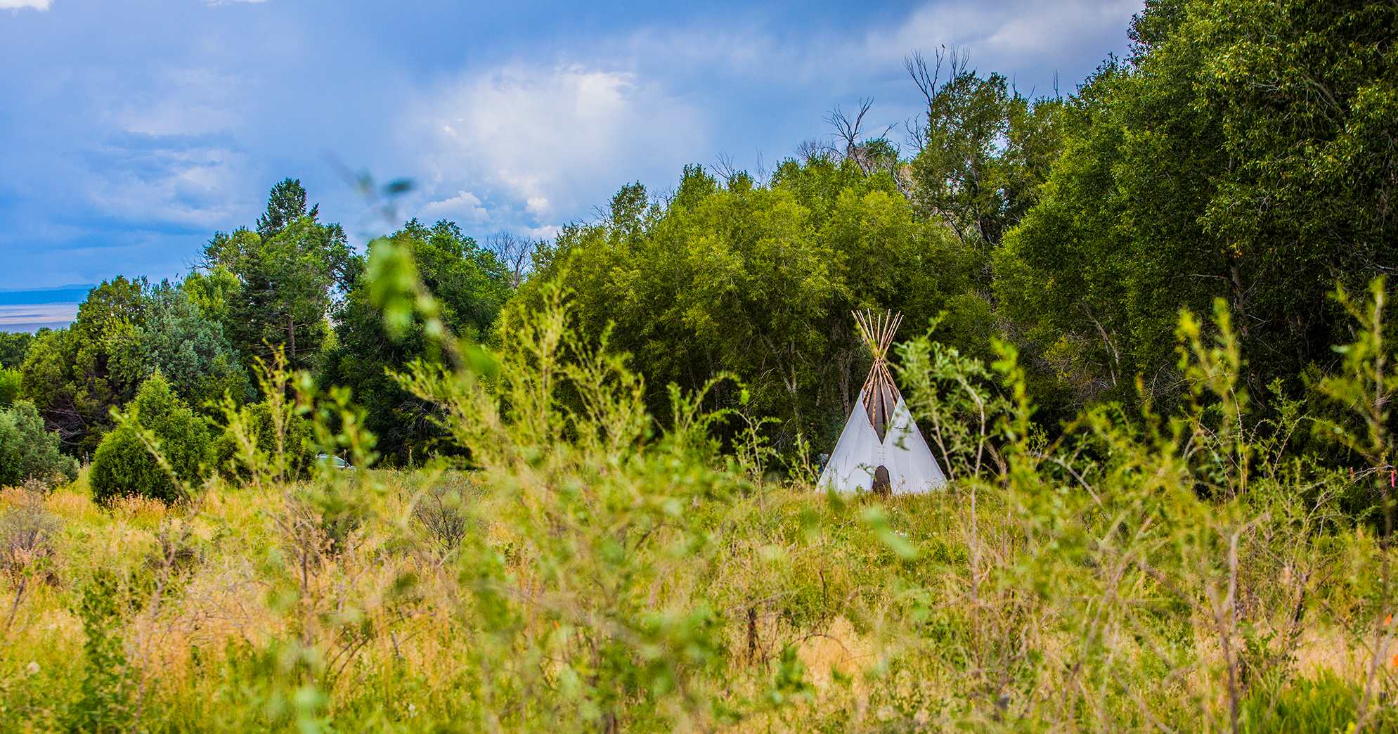 Taos Goji Farm & Eco Lodge