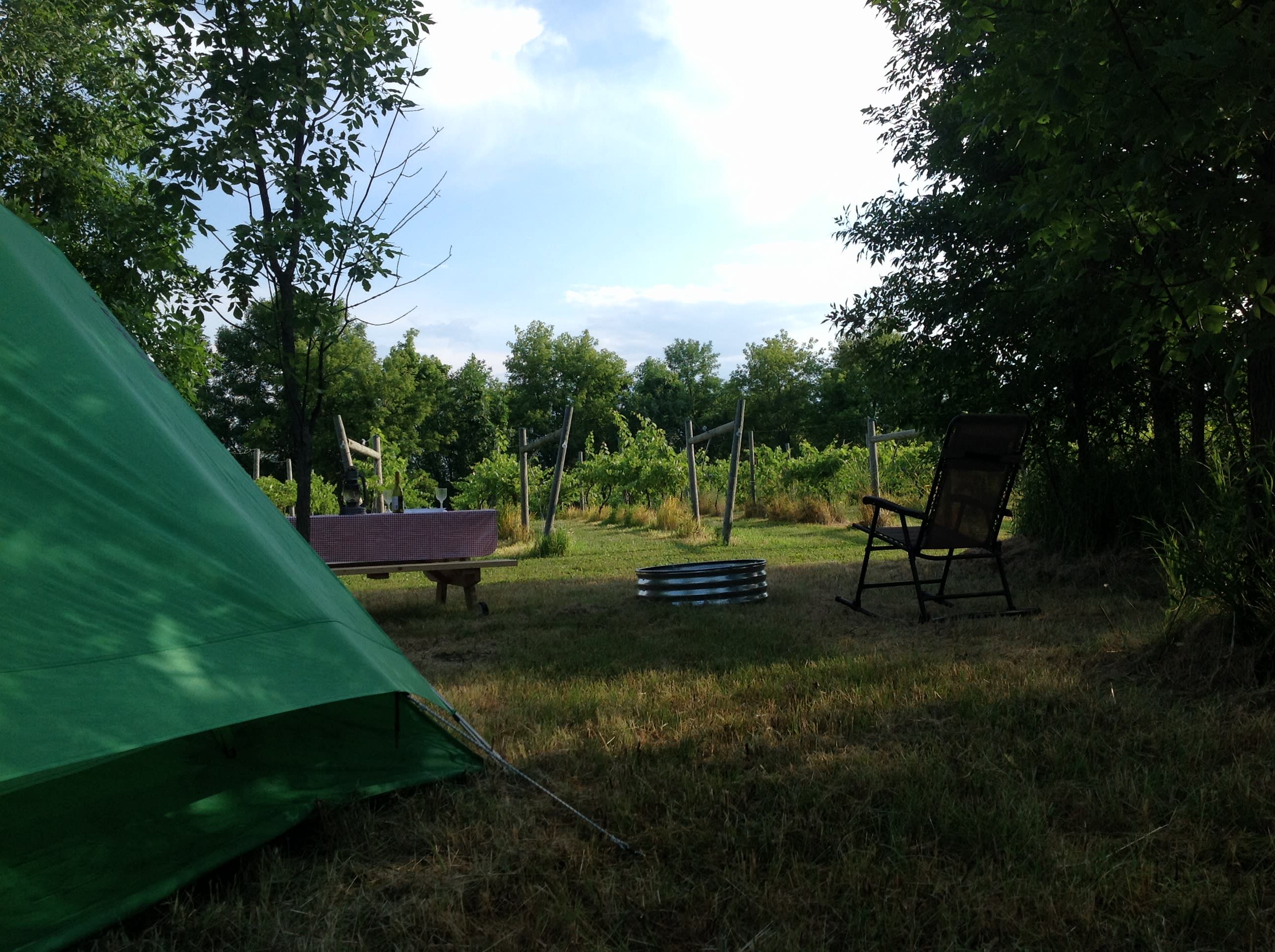 Enjoy dinner by the vineyard and the quiet of the country