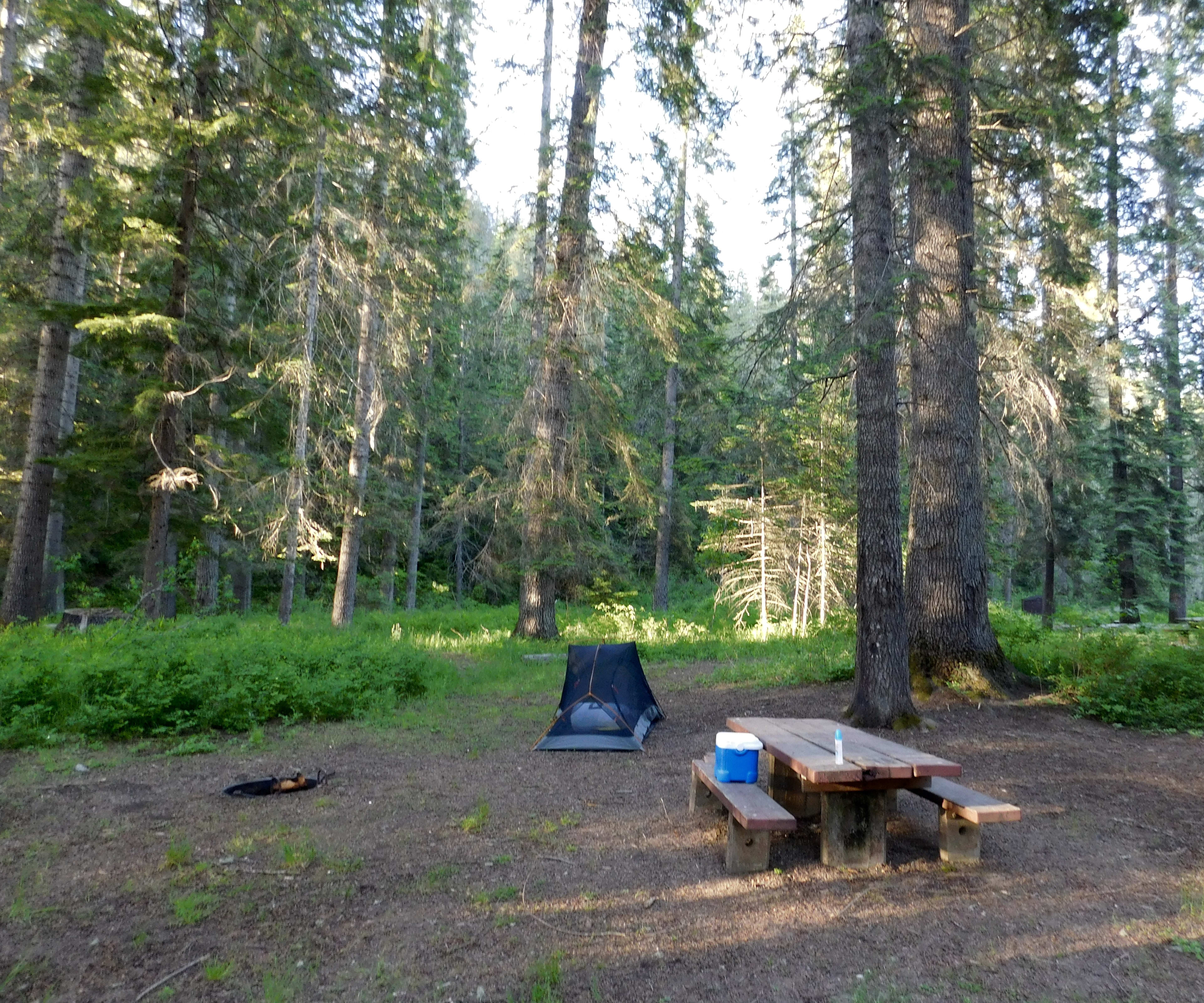 Coeur d'Alene River Campground and Picnic Areas