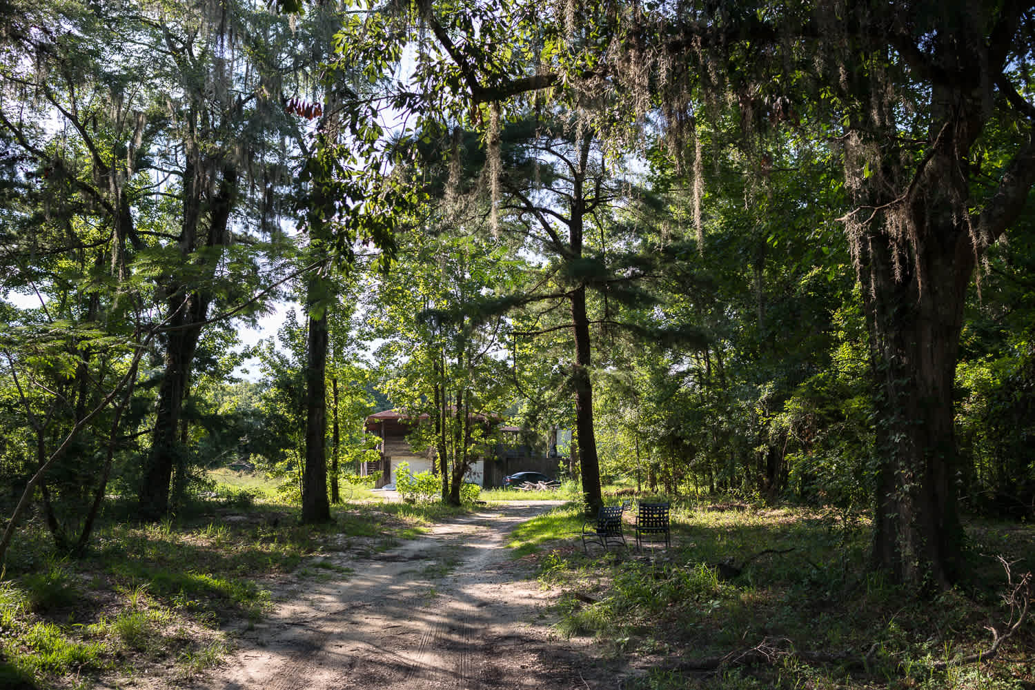 The view towards to road.