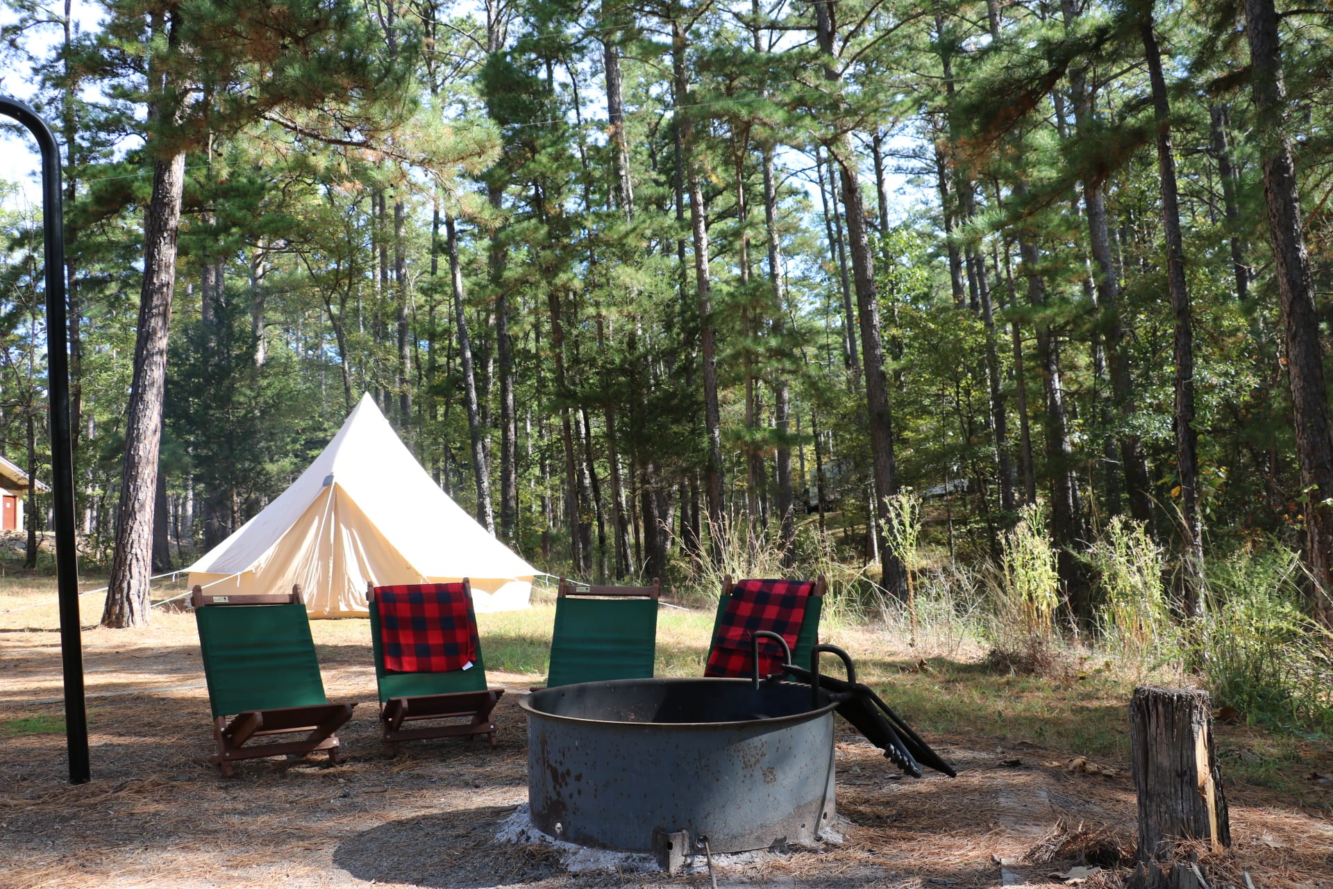 Spacious campsites surrounded by cedars.