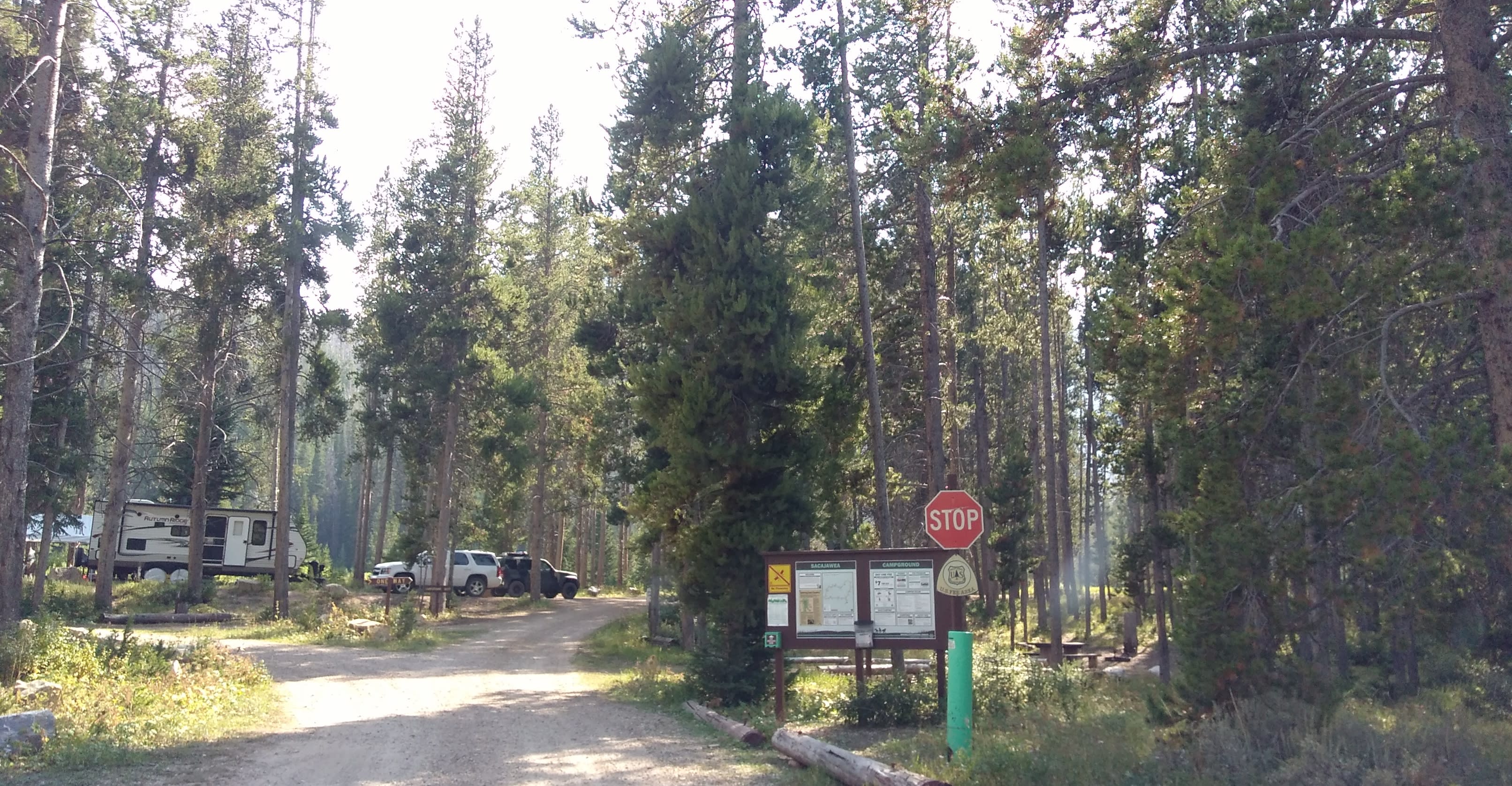 Bridger National Forest