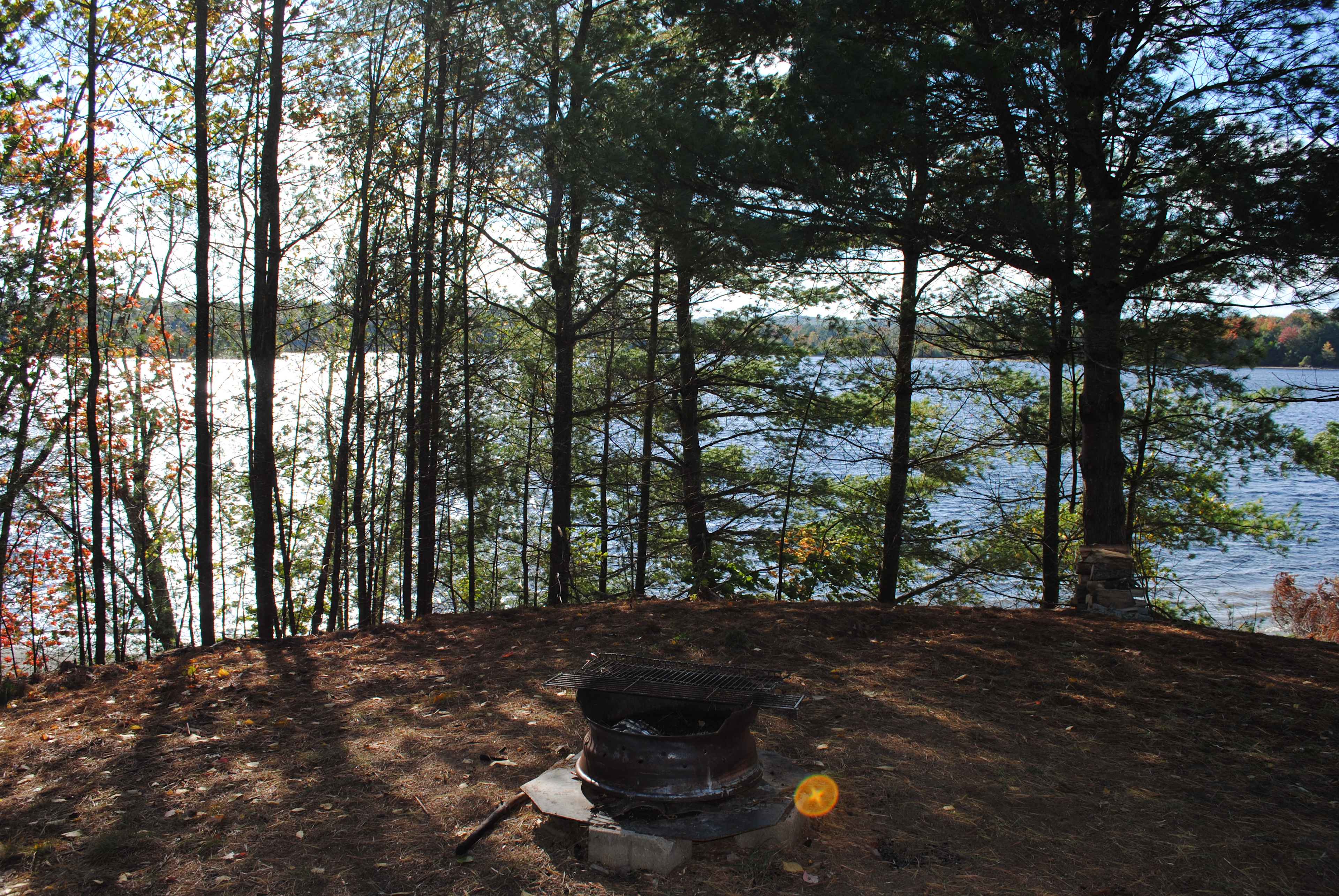 site 2 