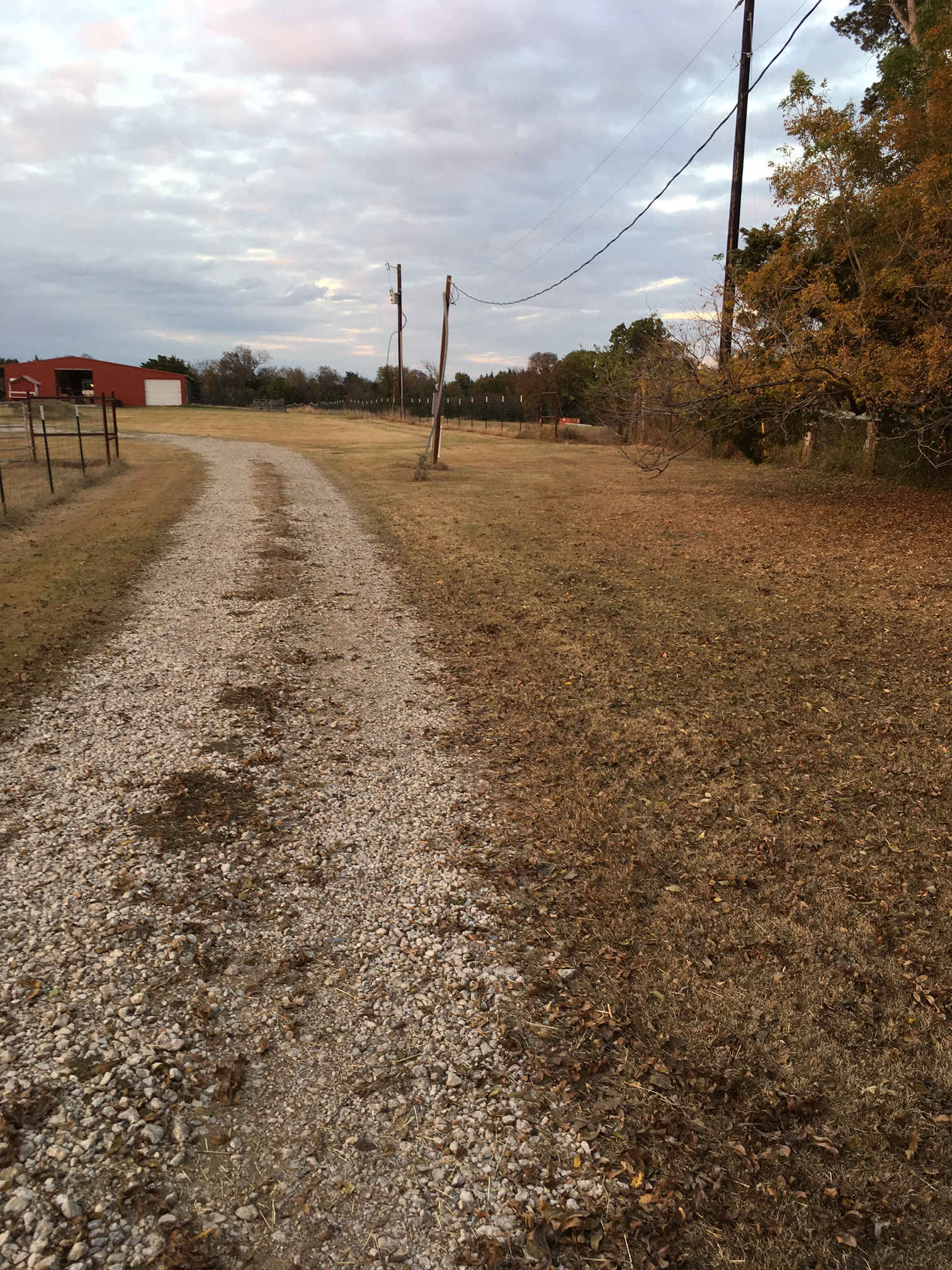 Welcome to Fieldsong Farm!