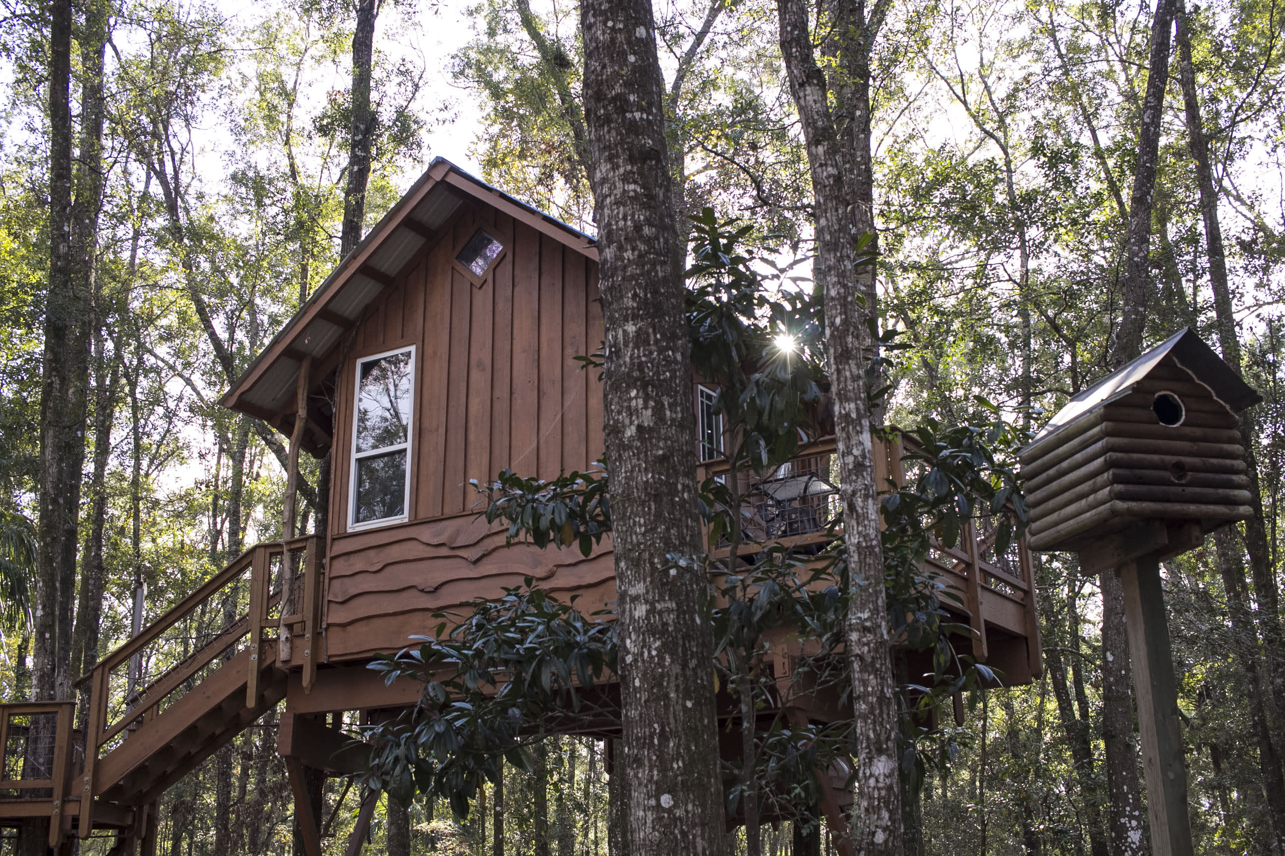 Awaken your inner child with this high-up-in-trees home!