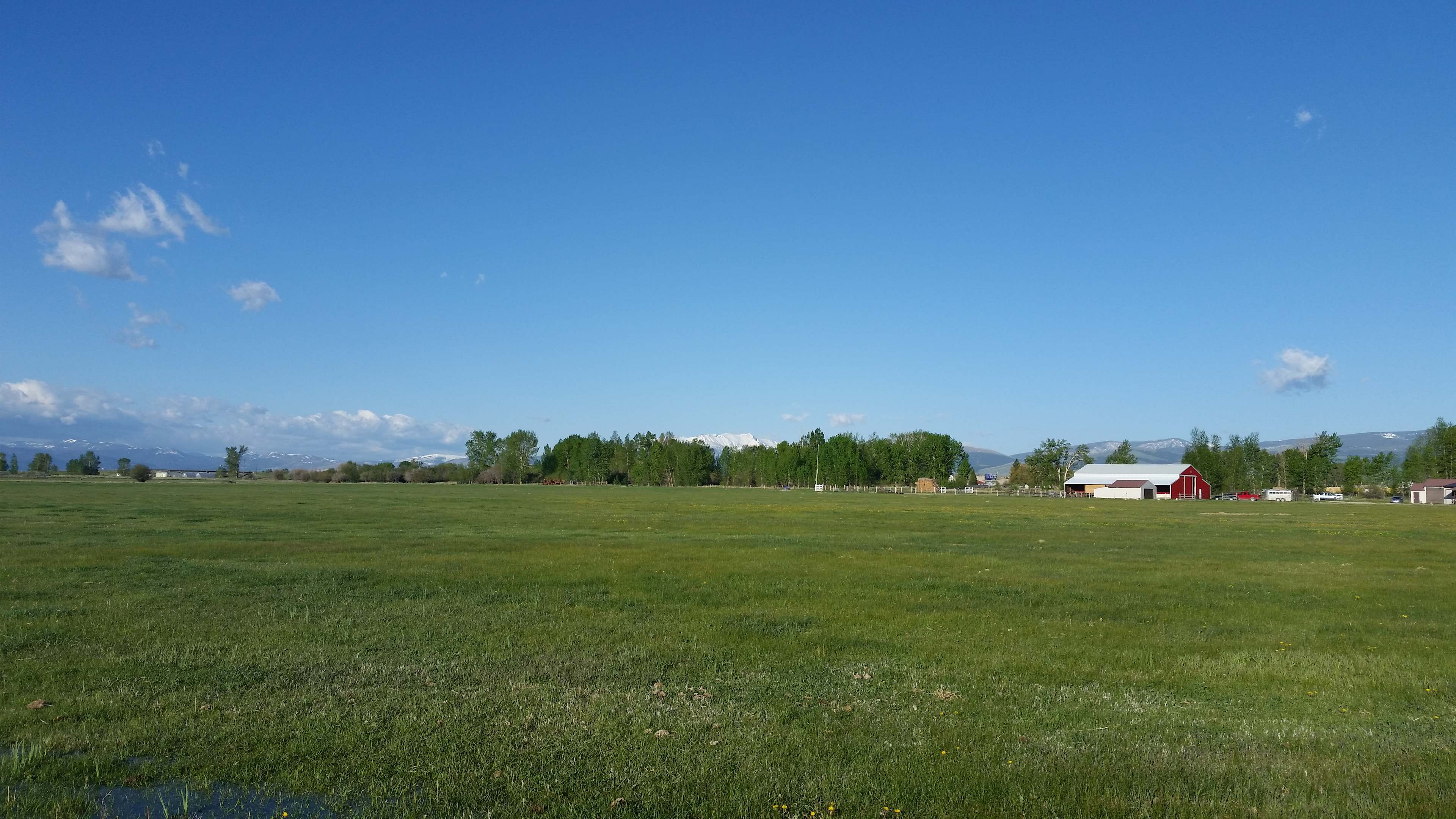 Summer at Hidden Meadow