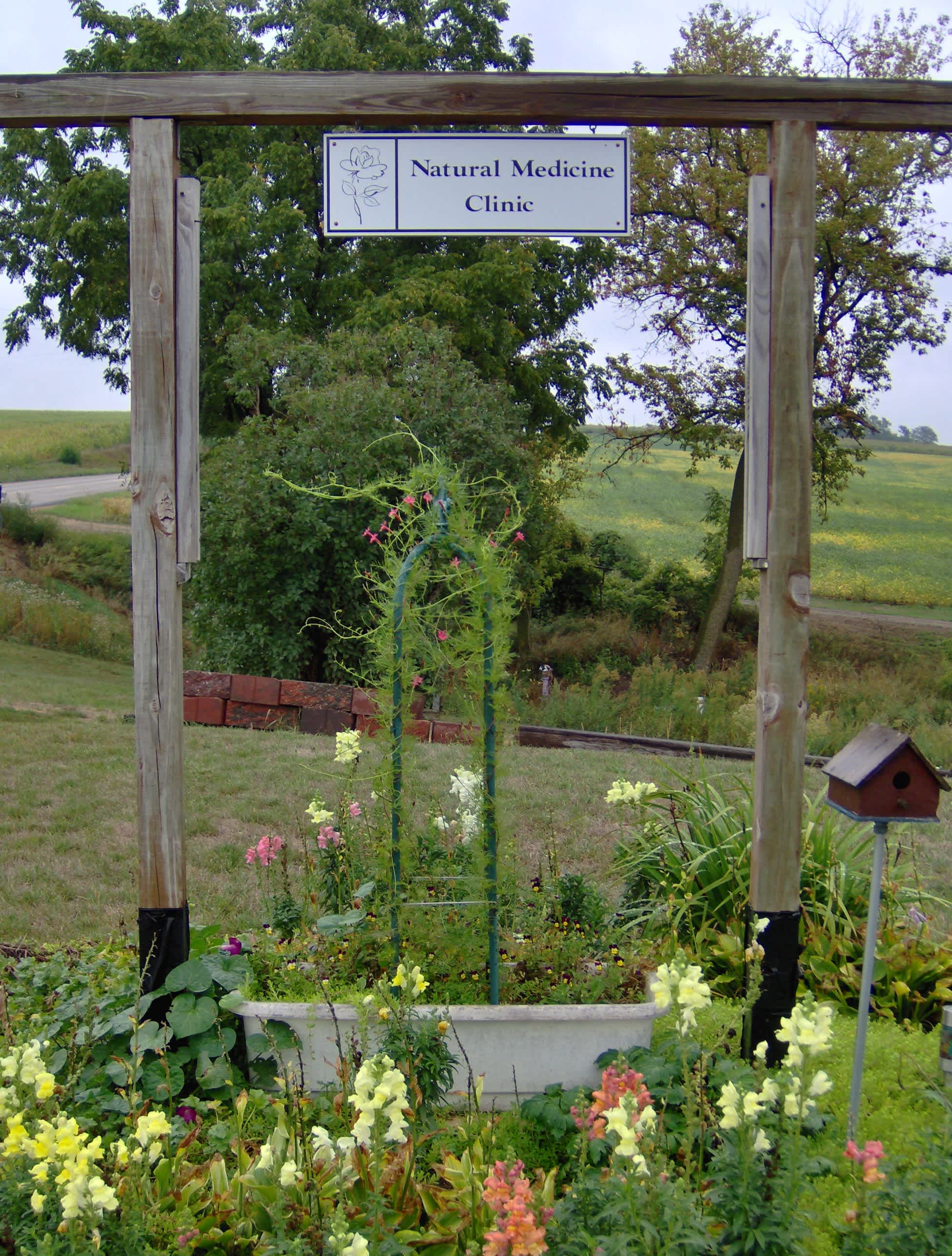 Cypress Vines on signpost