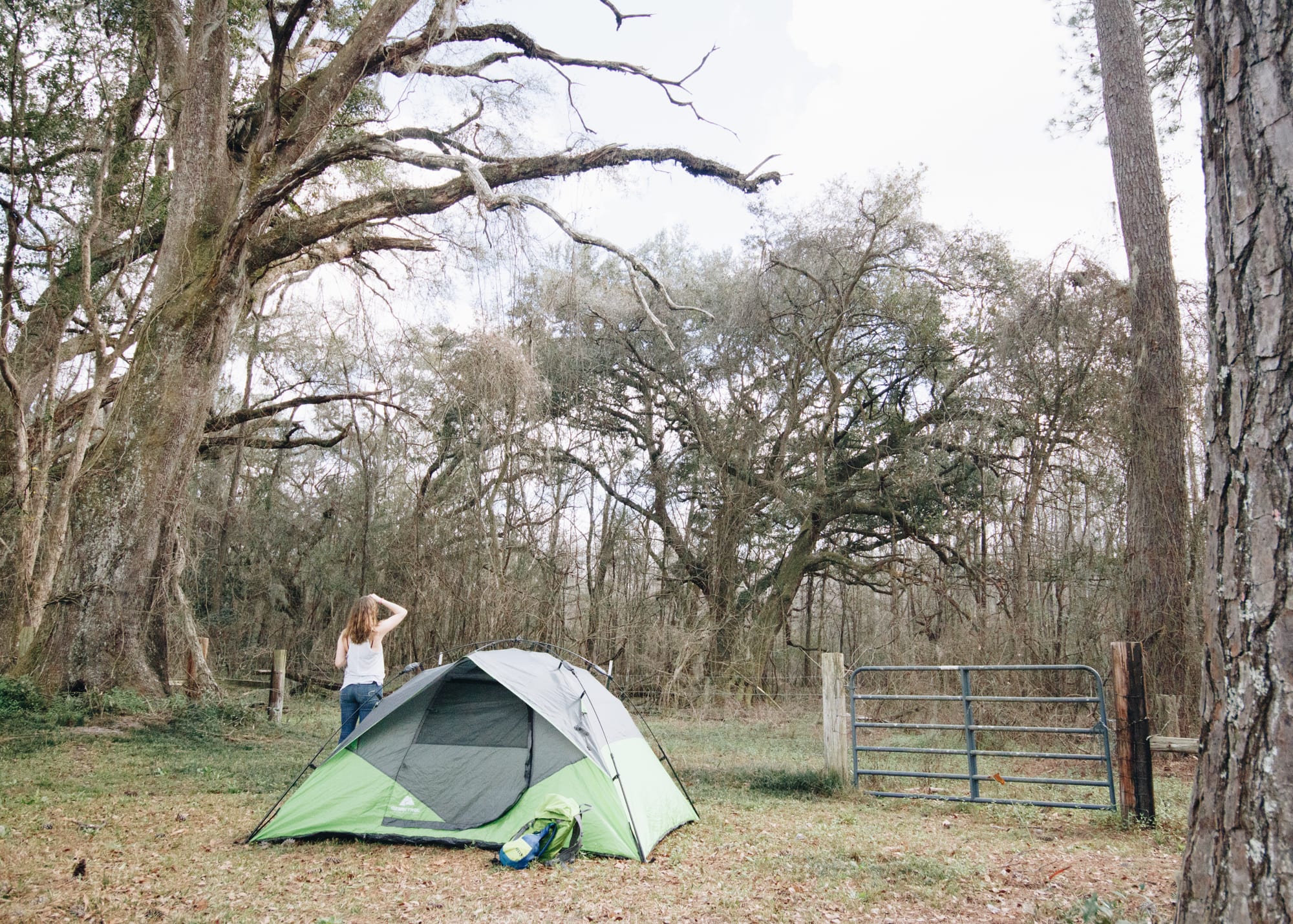 Tallahassee Outskirts Hideaway!Tent