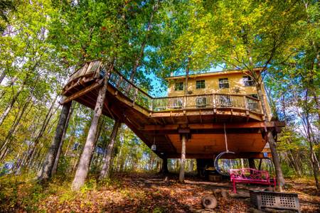 The Pete Nelson tree house