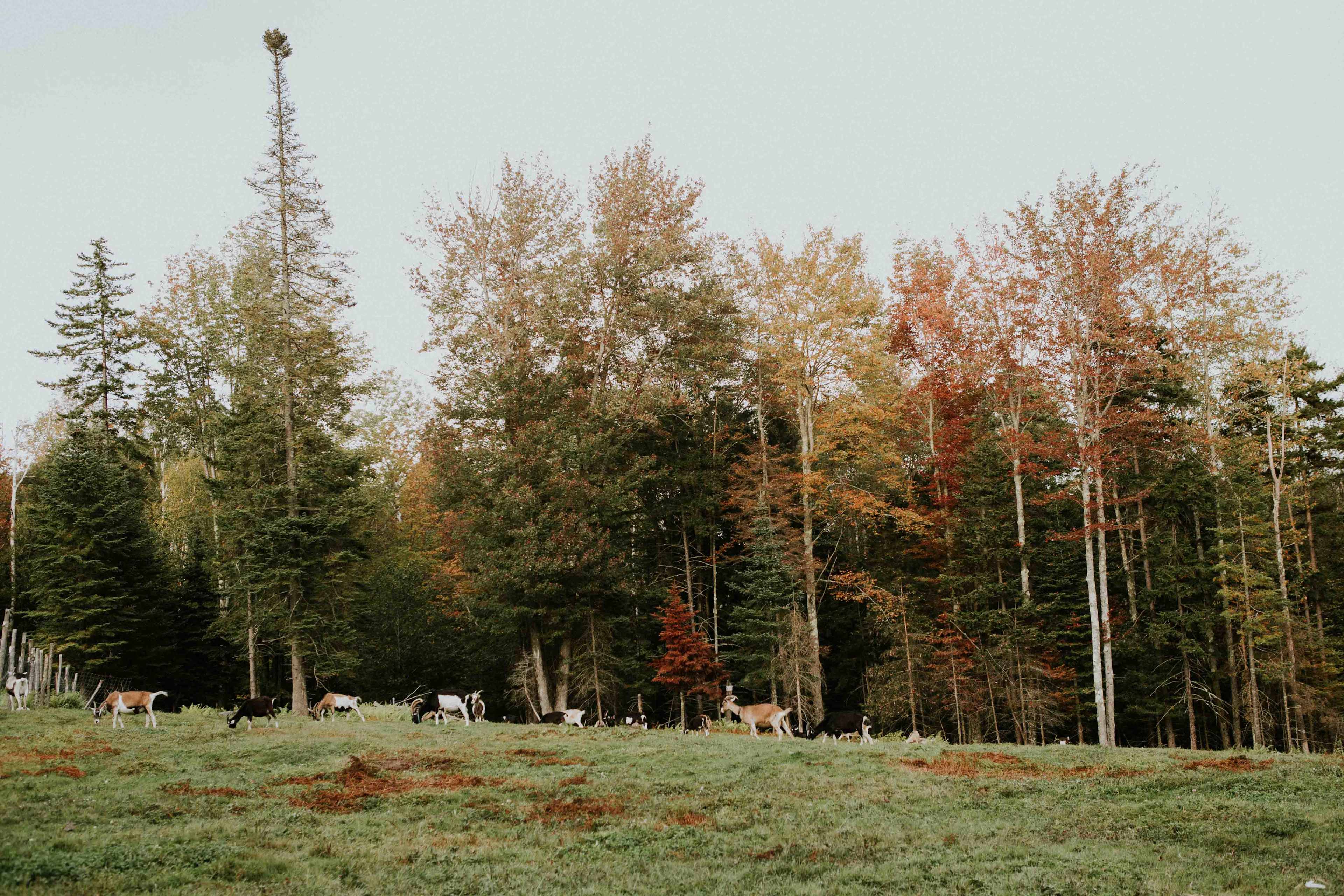 La Lu Farm camp site