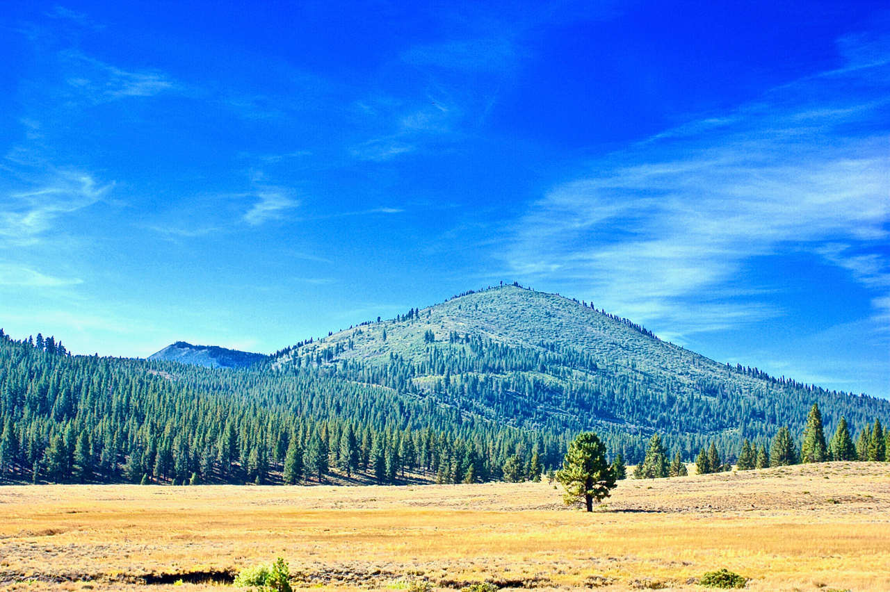 Viewing mountain peaks from the Alpine Valley floor