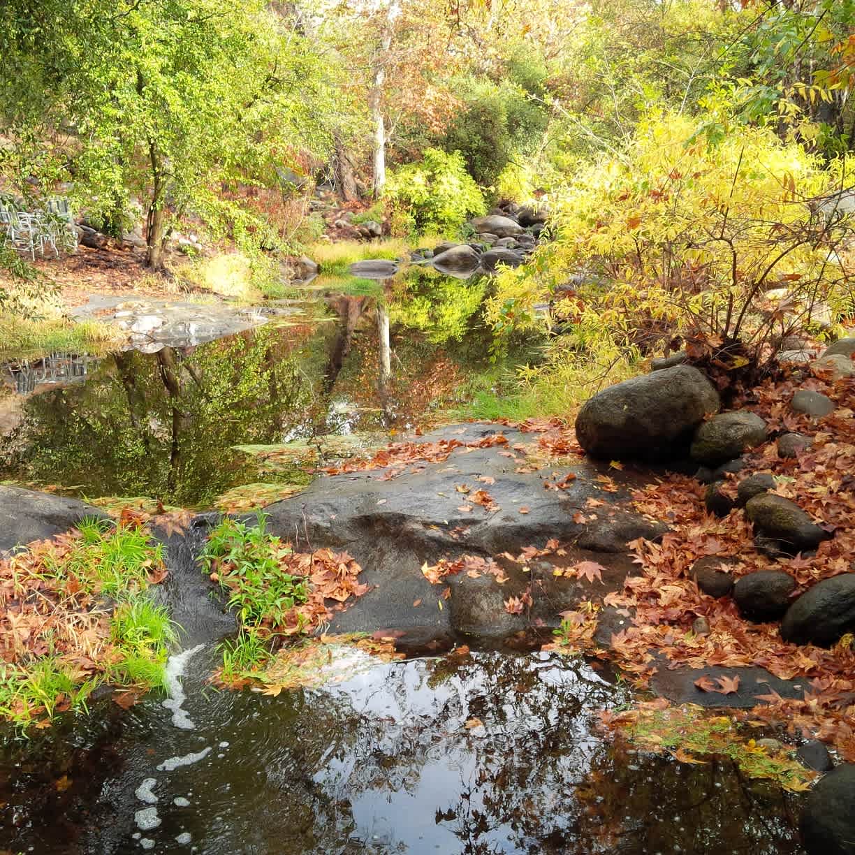 Swimming Hole