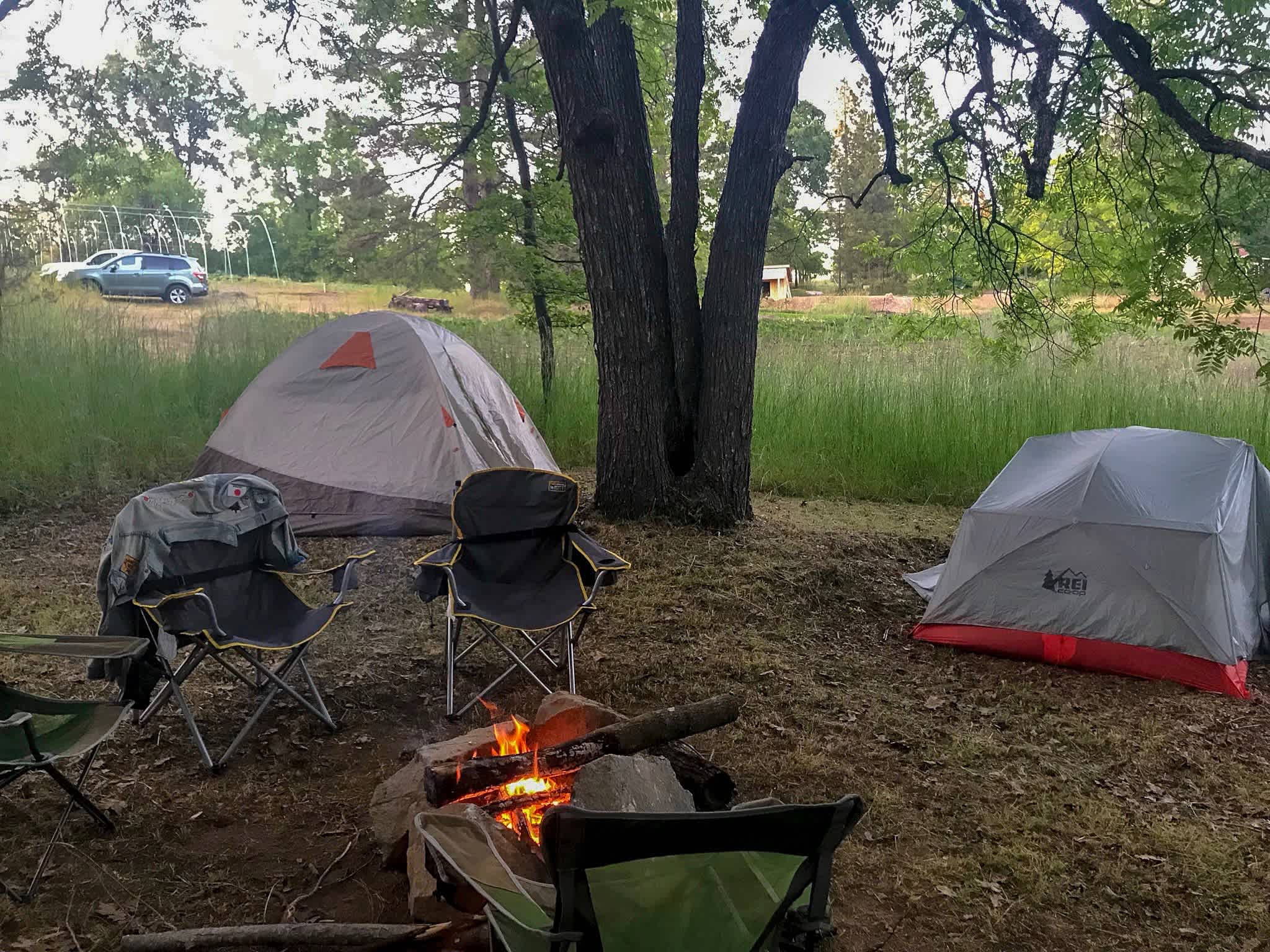 Site is perfect for two tents 