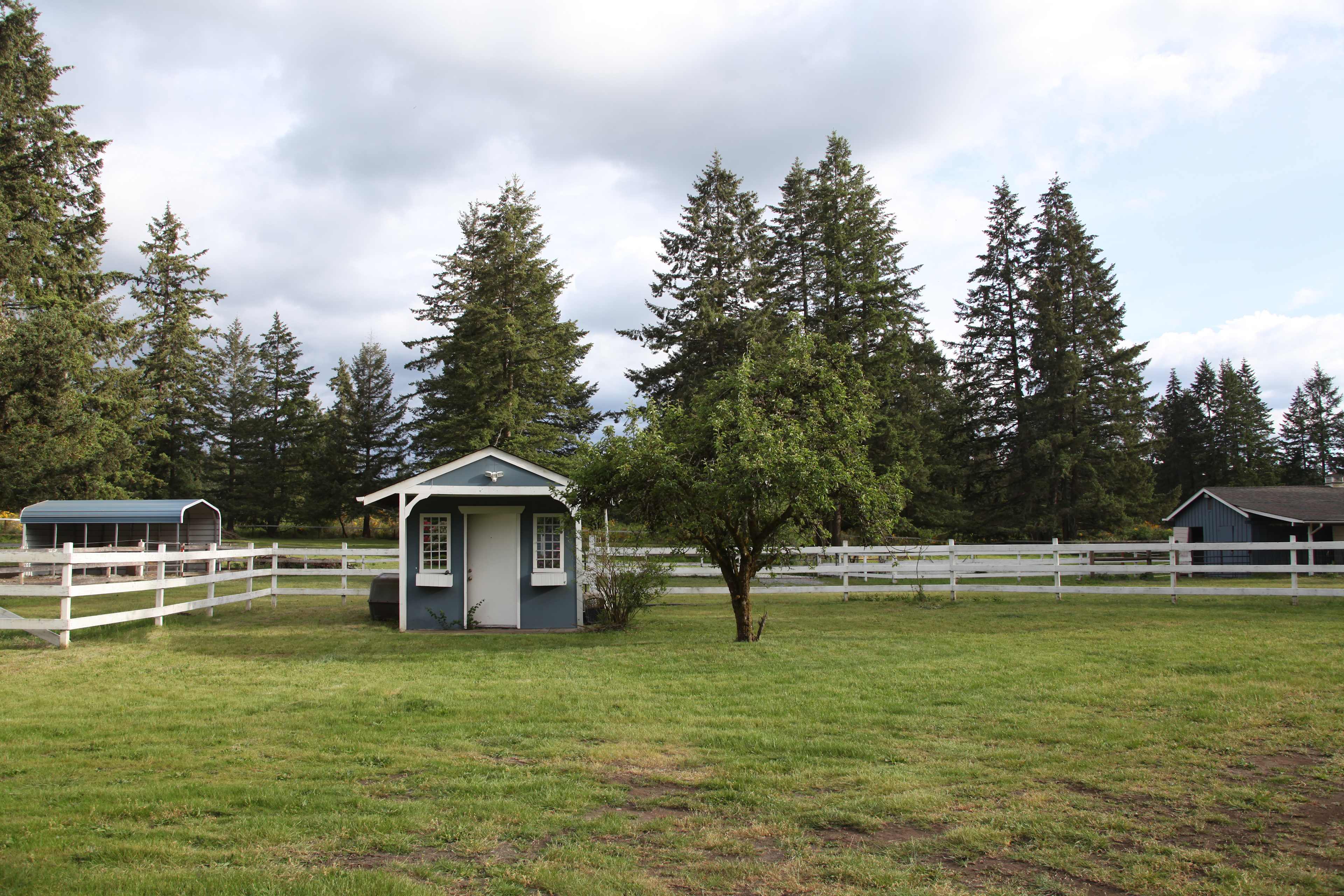 Bethanne gives you free reign to choose where you'd like to camp throughout the back property.