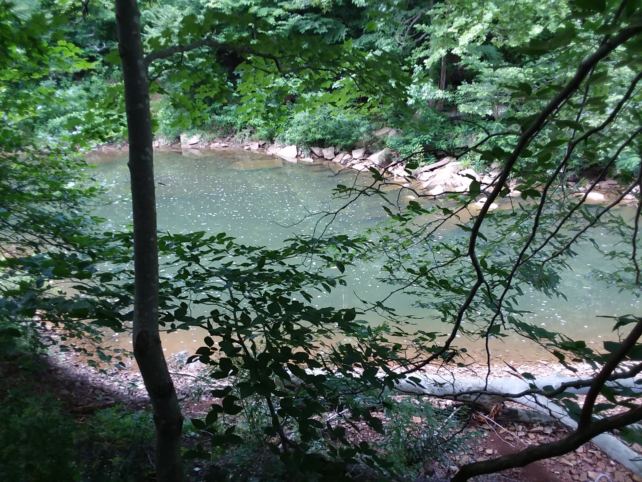 Turkey Creek Cove