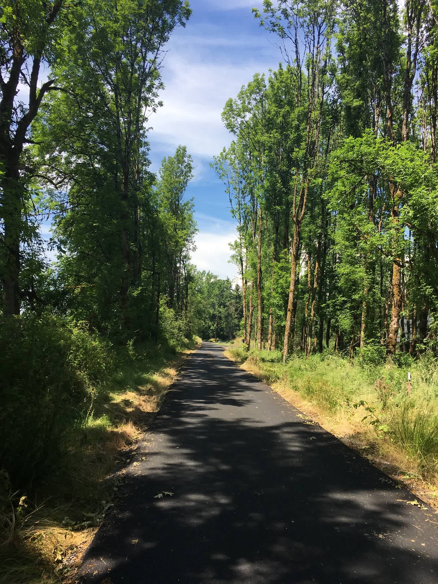 RV pad at the end of this private drive.