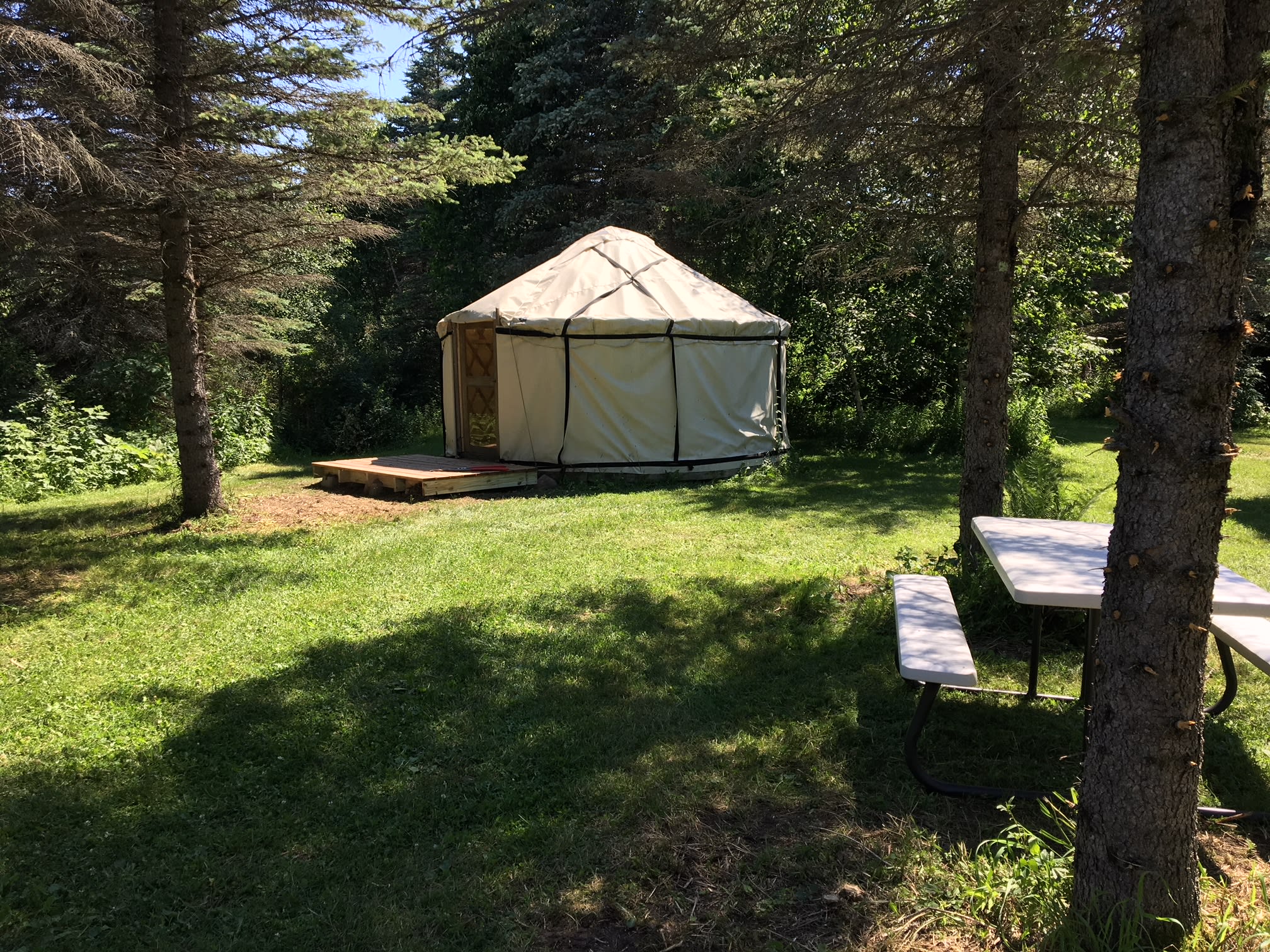 Yurt in the Pines