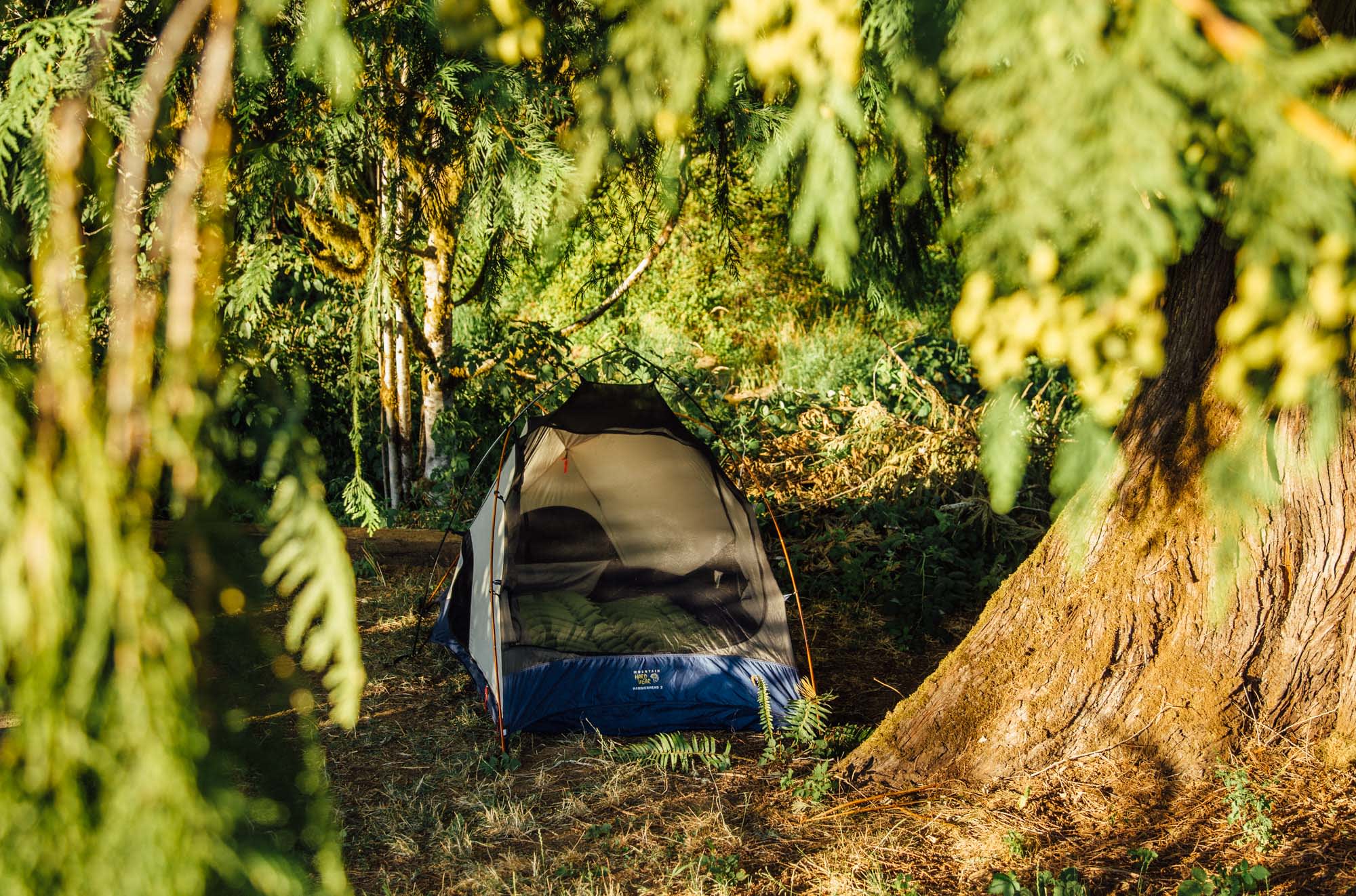 tent forest lodging