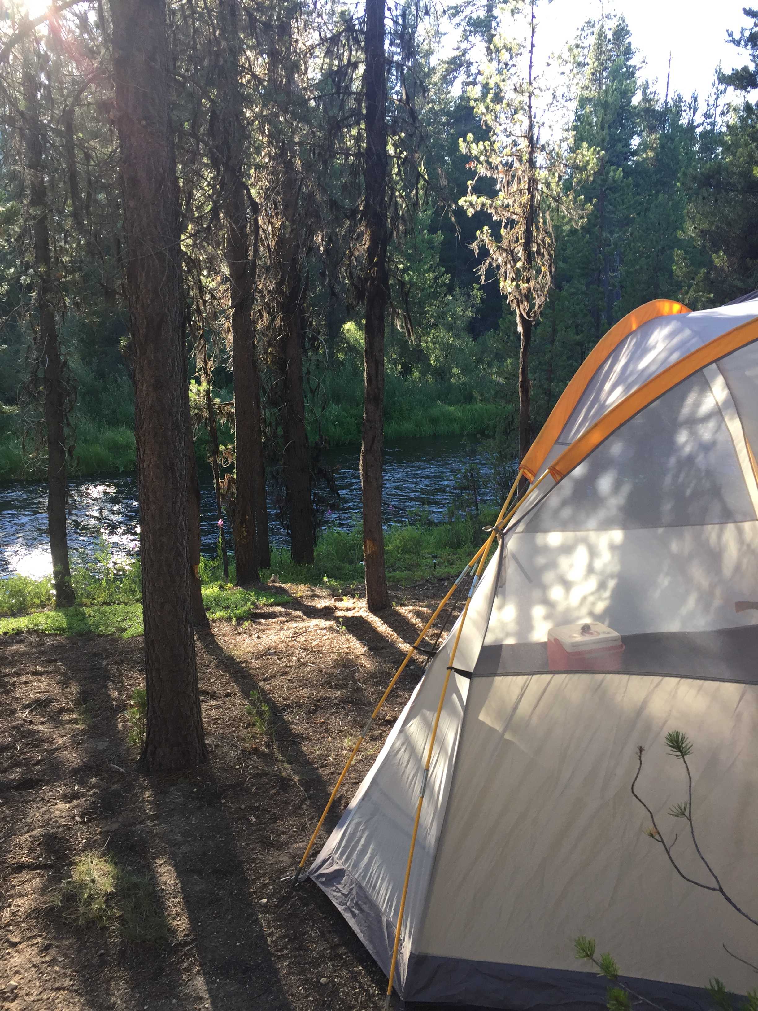 Crawdad campsite