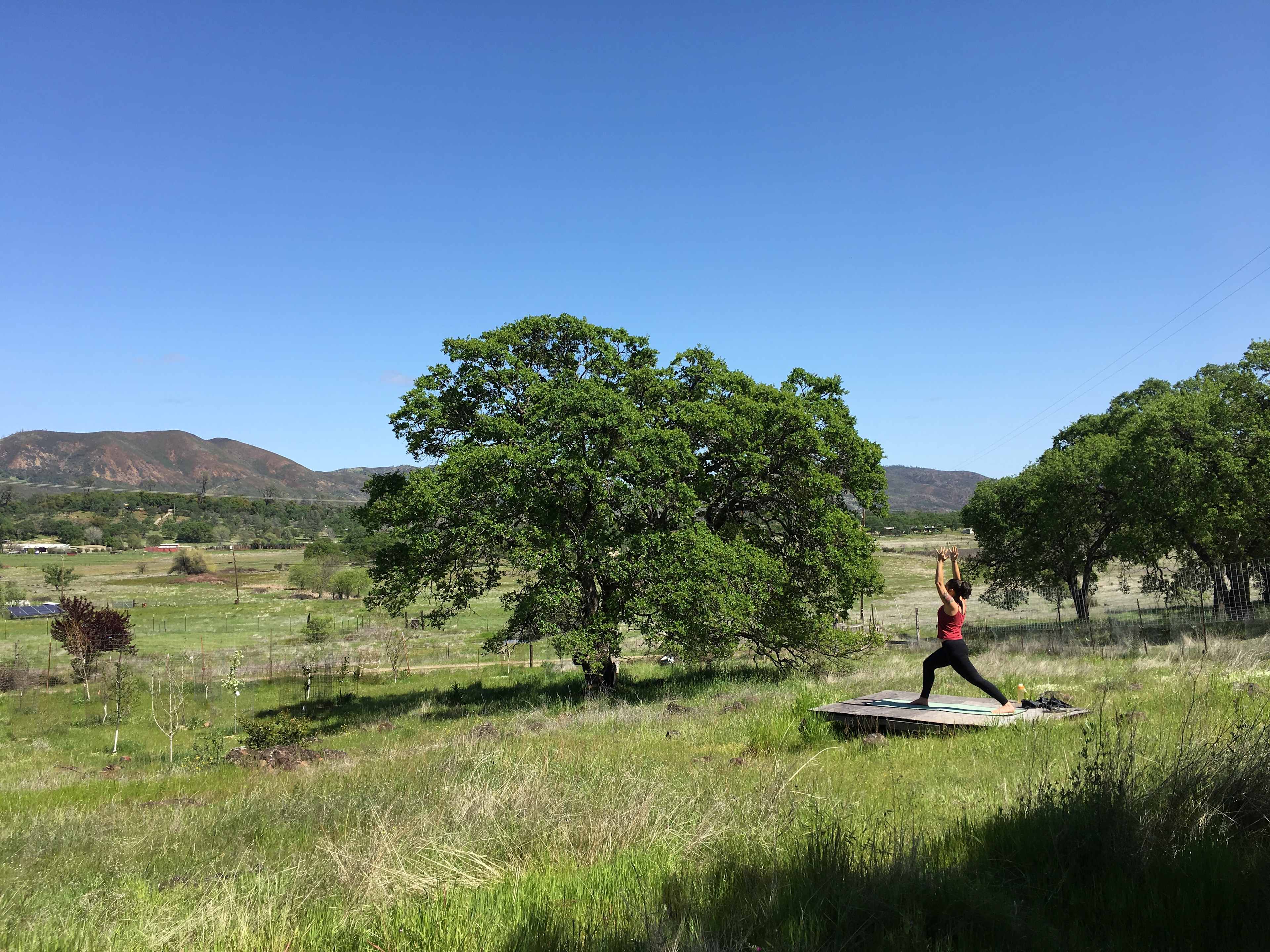 Campsite #4 - SKY VIEW DECK
Excellent for star gazing!