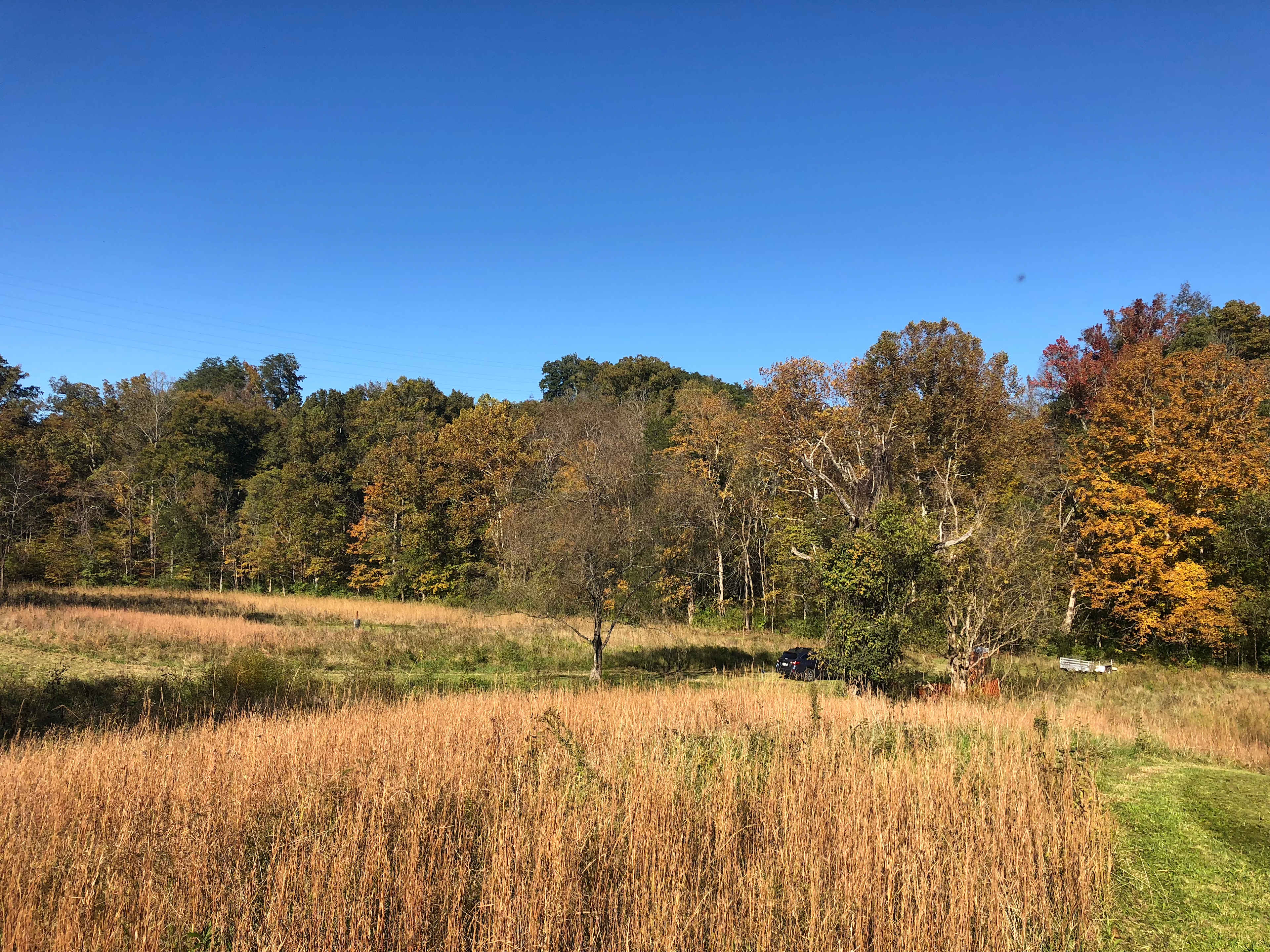 Low Meadow Farms