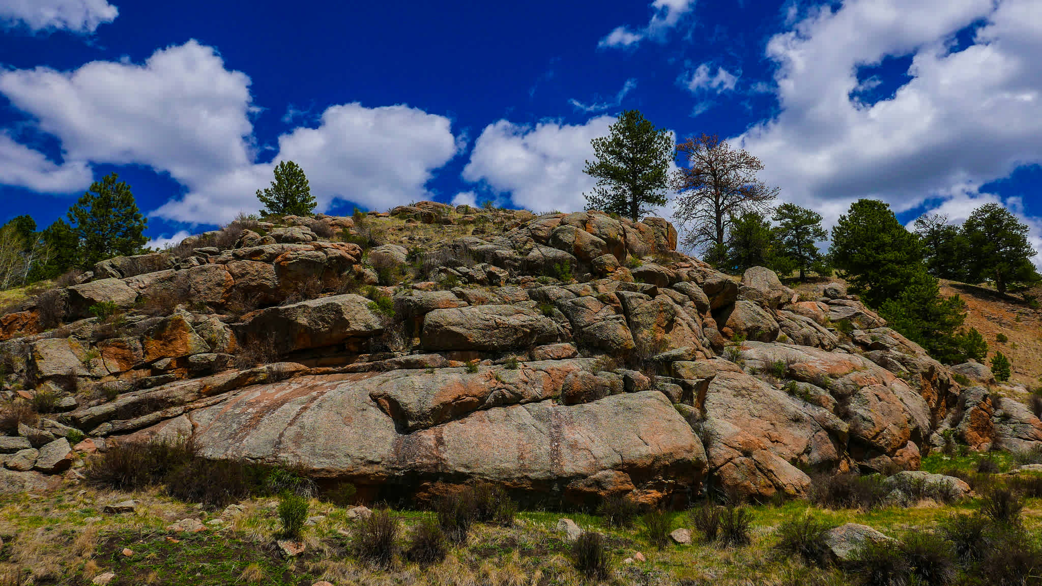 Florissant Fossil Beds National Monument