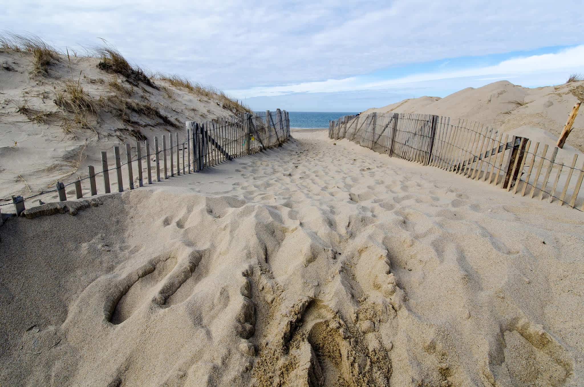 Cape Cod National Seashore
