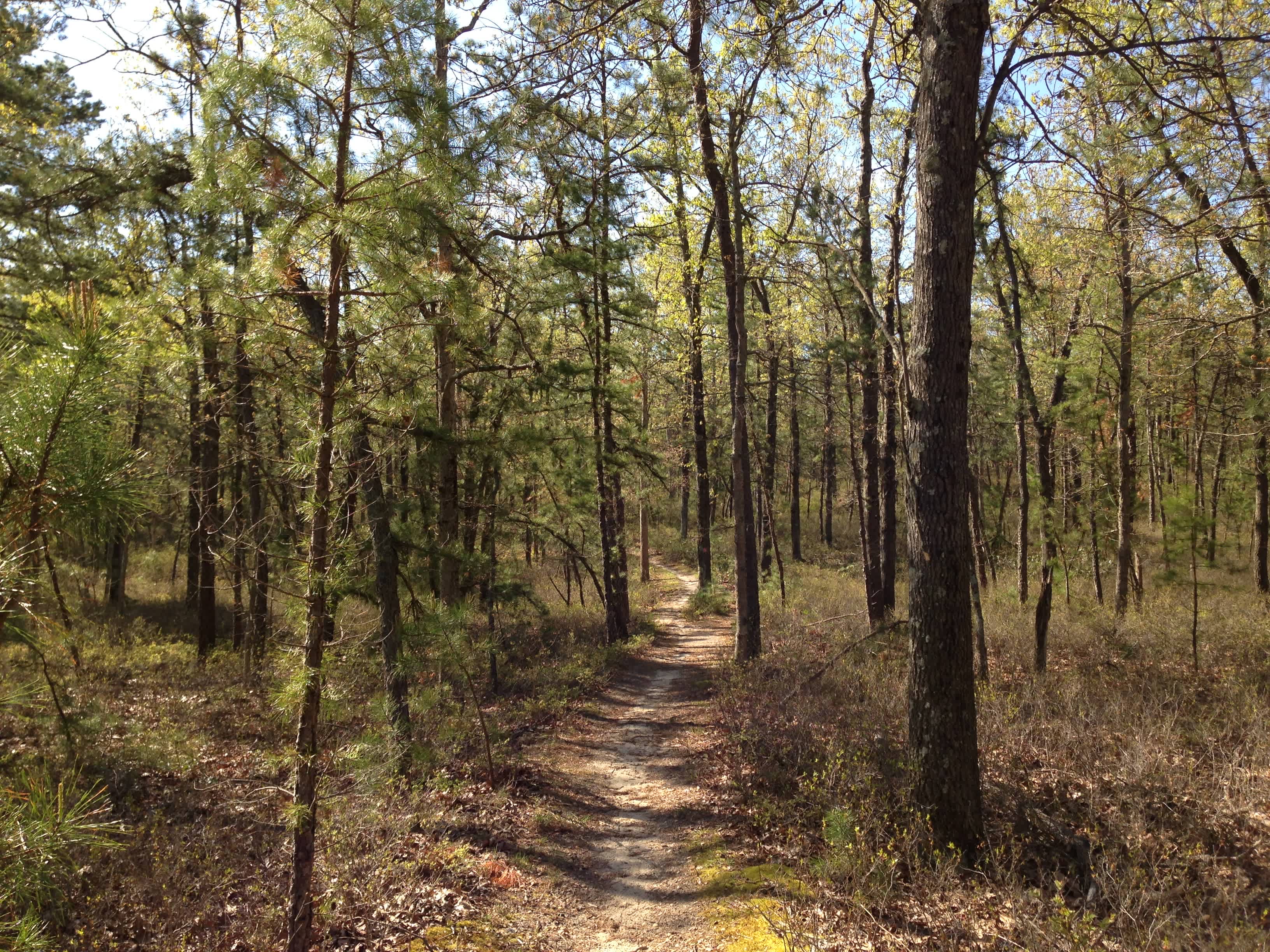 New Jersey Pinelands National Reserve