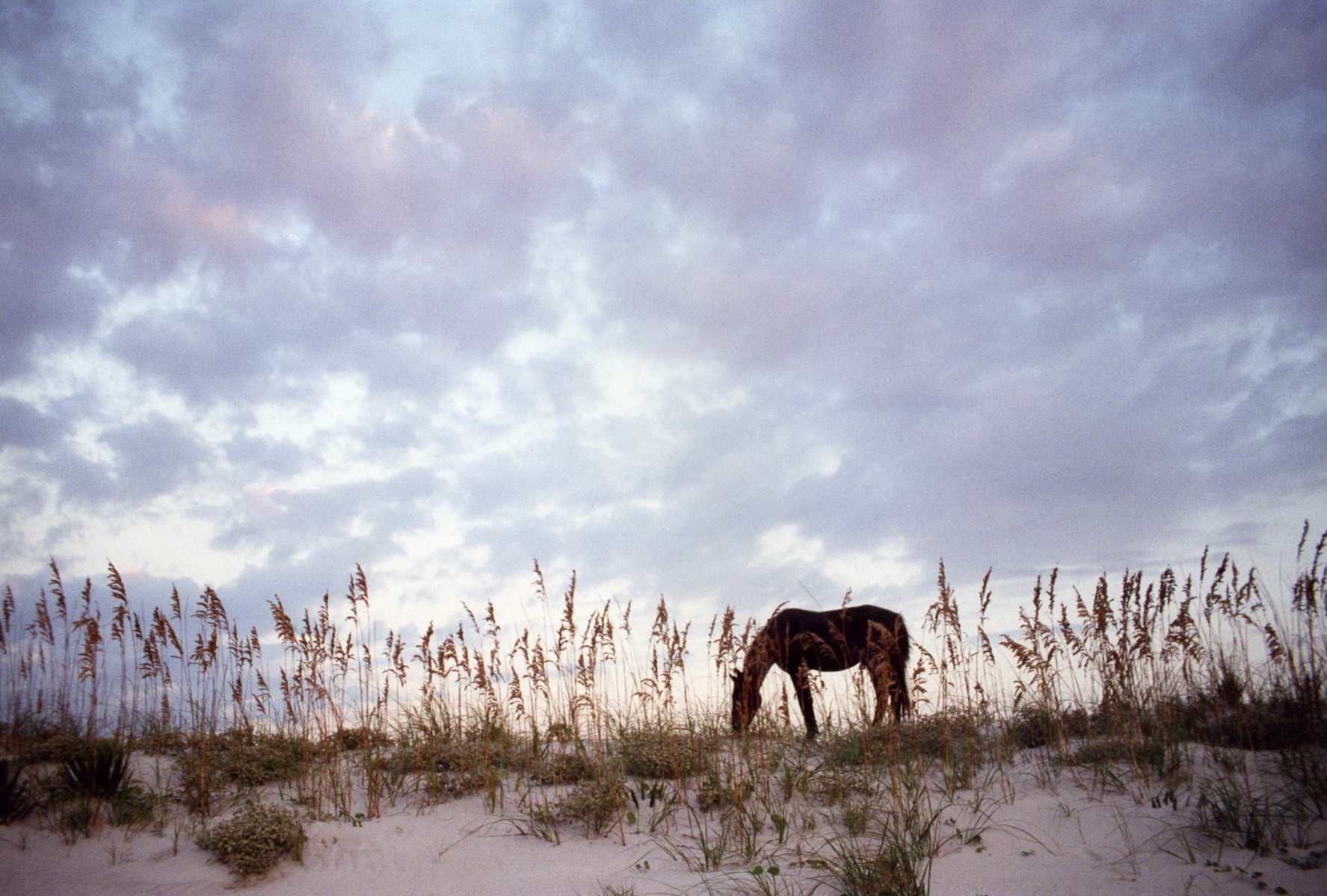 Gullah Geechee Cultural Heritage Corridor