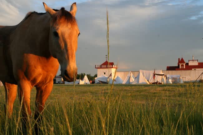 Fort Union Trading Post National Historic Site