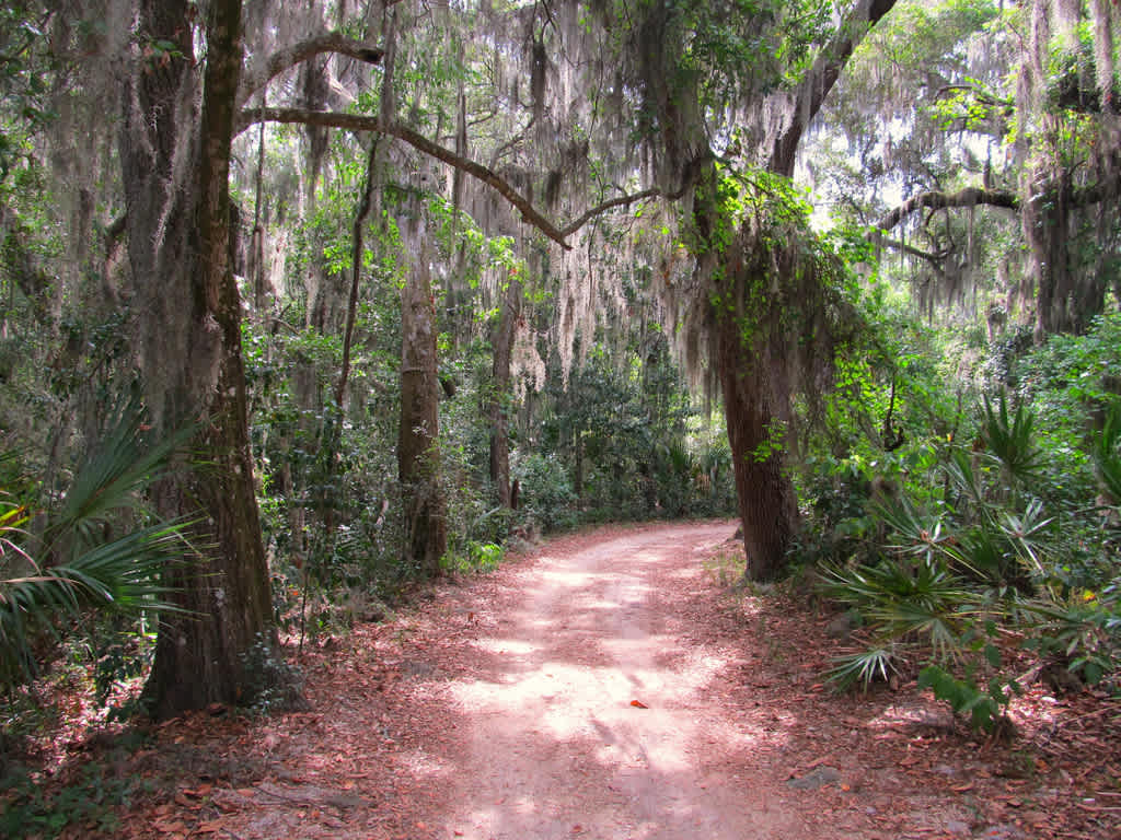 Timucuan Ecological & Historic Preserve