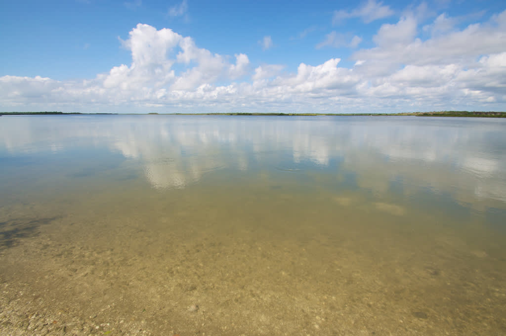 Canaveral National Seashore