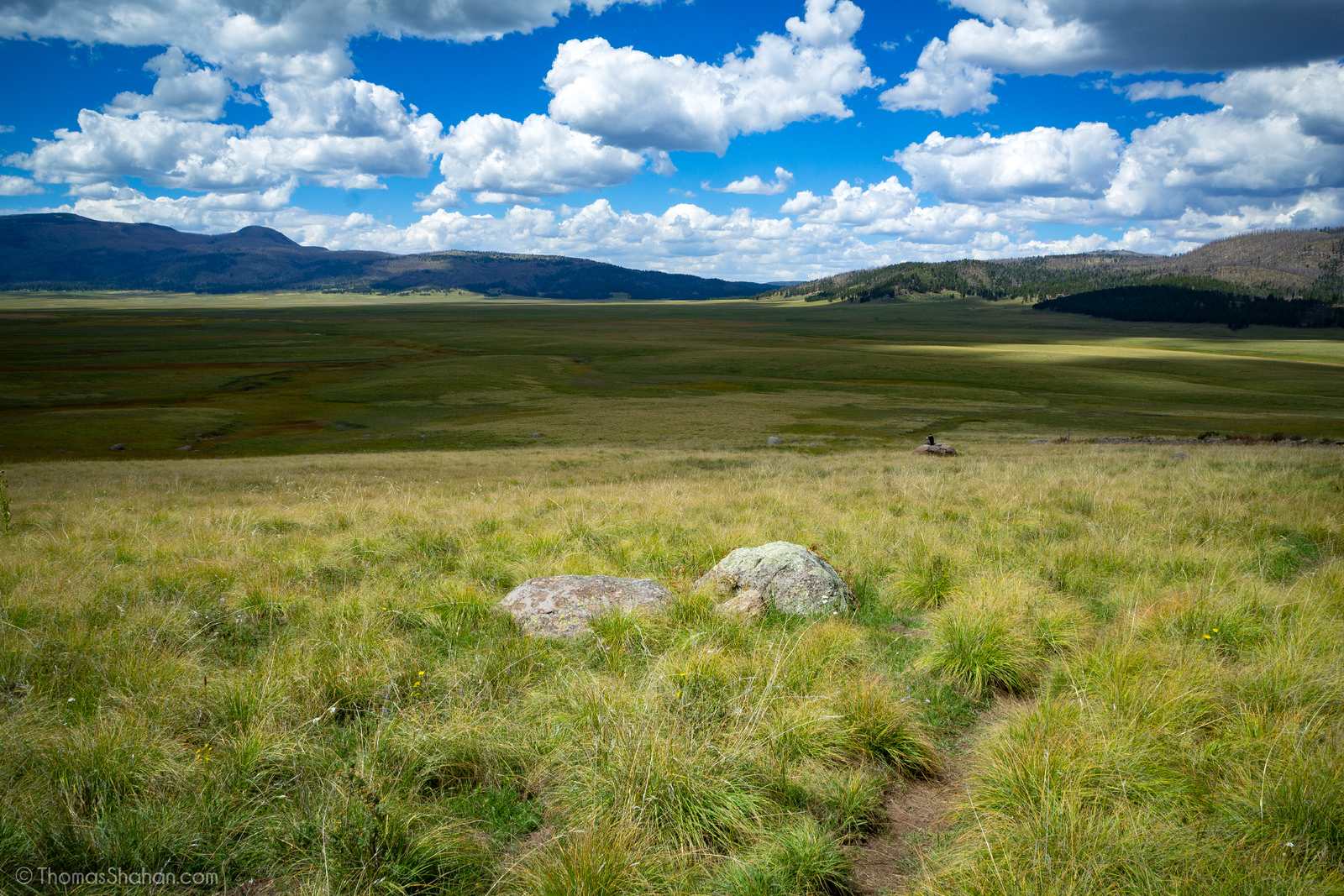 Valles Caldera National Preserve