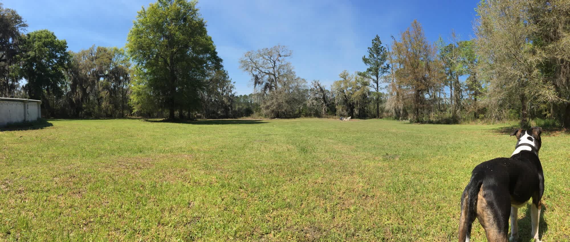 Two cleared acres where our communal fire pit is, views of the tidal creek, and where we are beginning to work on our garden