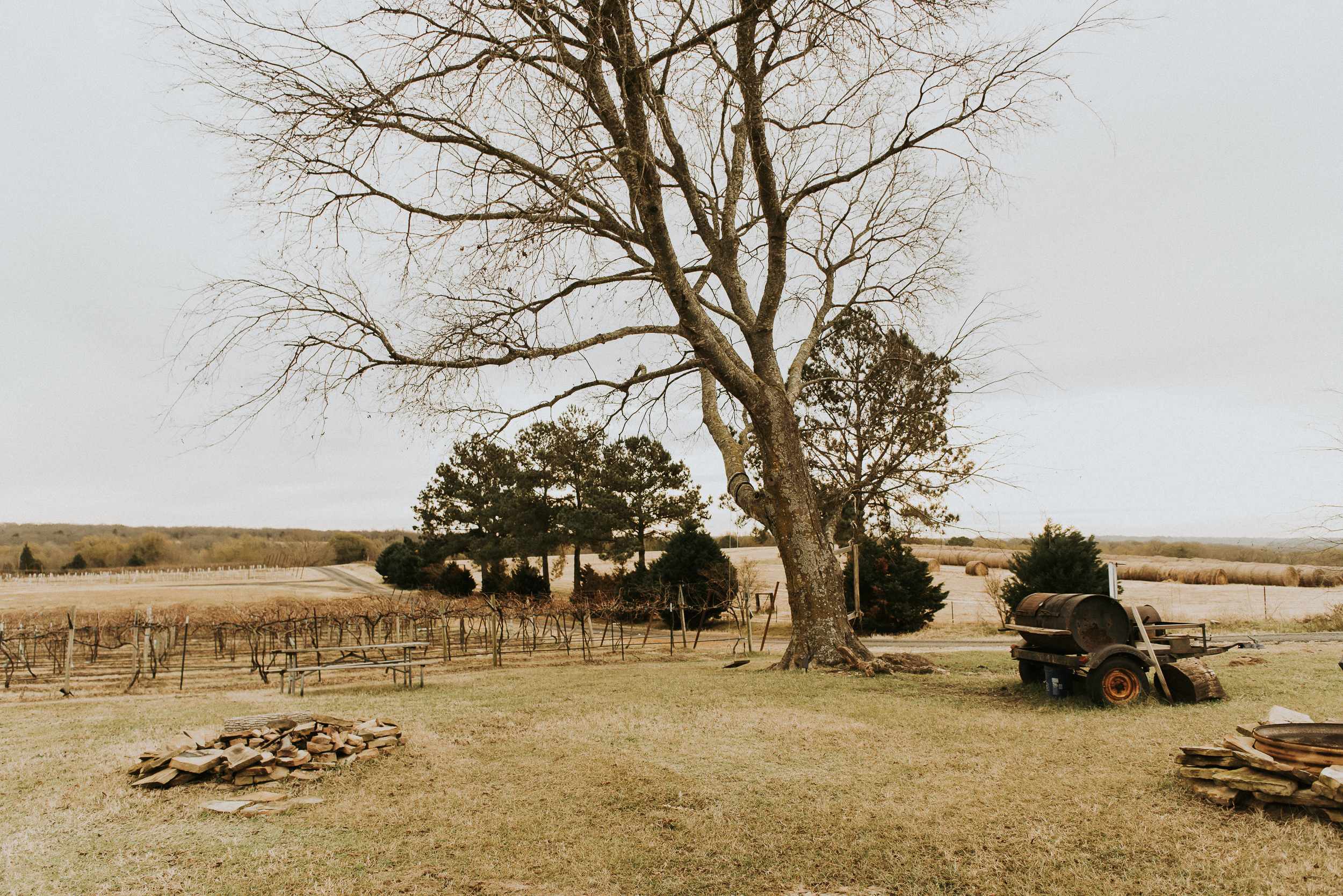 Tara Vineyard & Winery estate