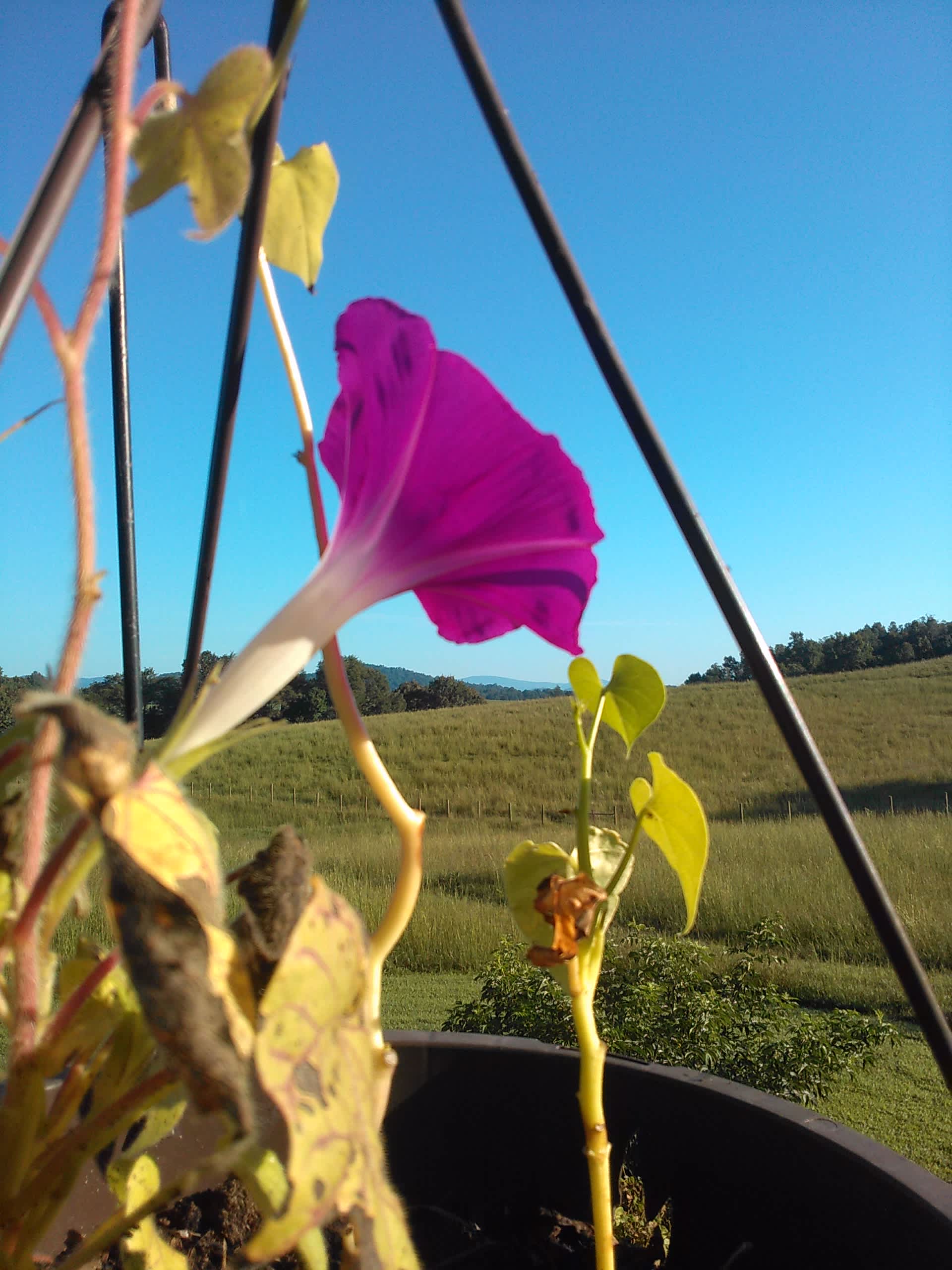 Rocky Run Farm Sharesites