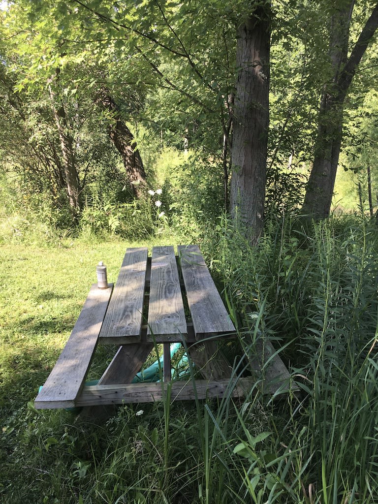 There is a picnic table at the ponds edge.  Please feel free to use it during your stay.  There is also a bottle of Dr. Broner's available for you to use if you choose to bath in the pond.  