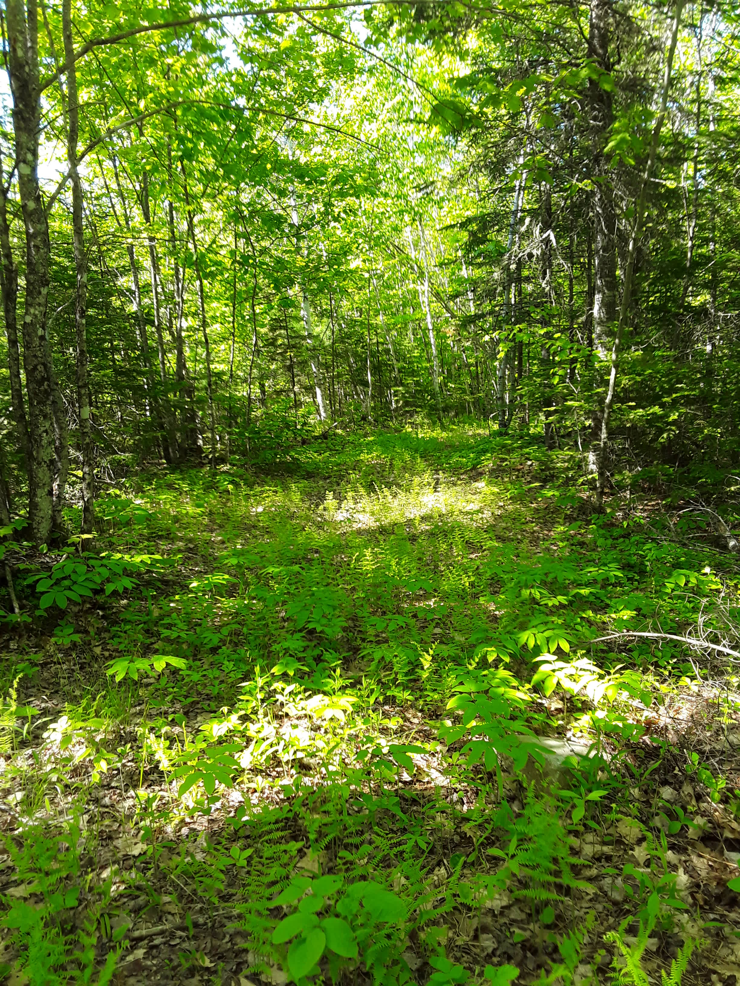 Campsite lower ridge East
