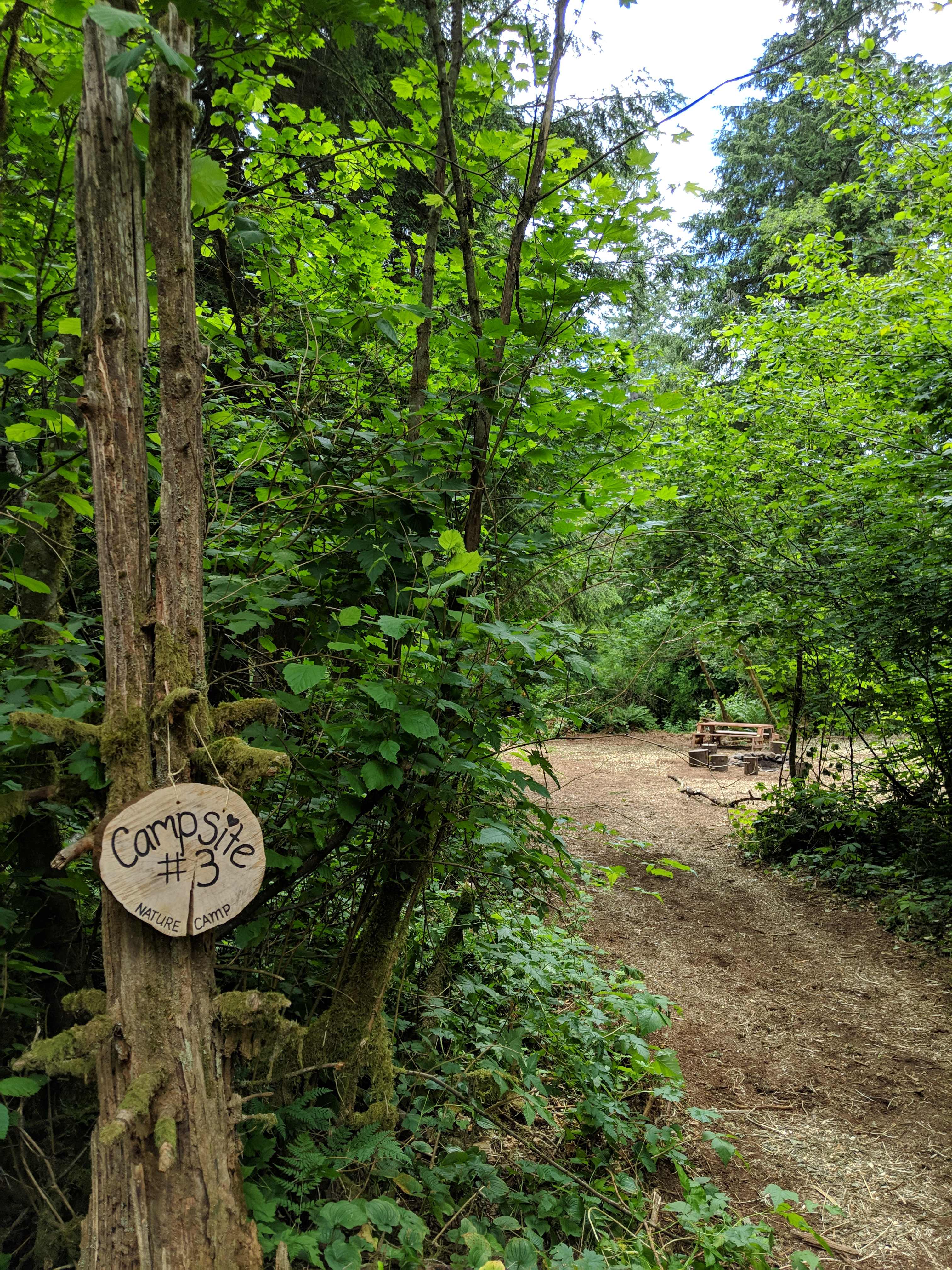 Campsite#3 is a pull-in site with tons of space!!! . Can accommodate tents of all size or a few cars and tents. Tucked back and private. Adjacent to parking lot and closest to outhouse. Fire pit, picnic table and hammock.