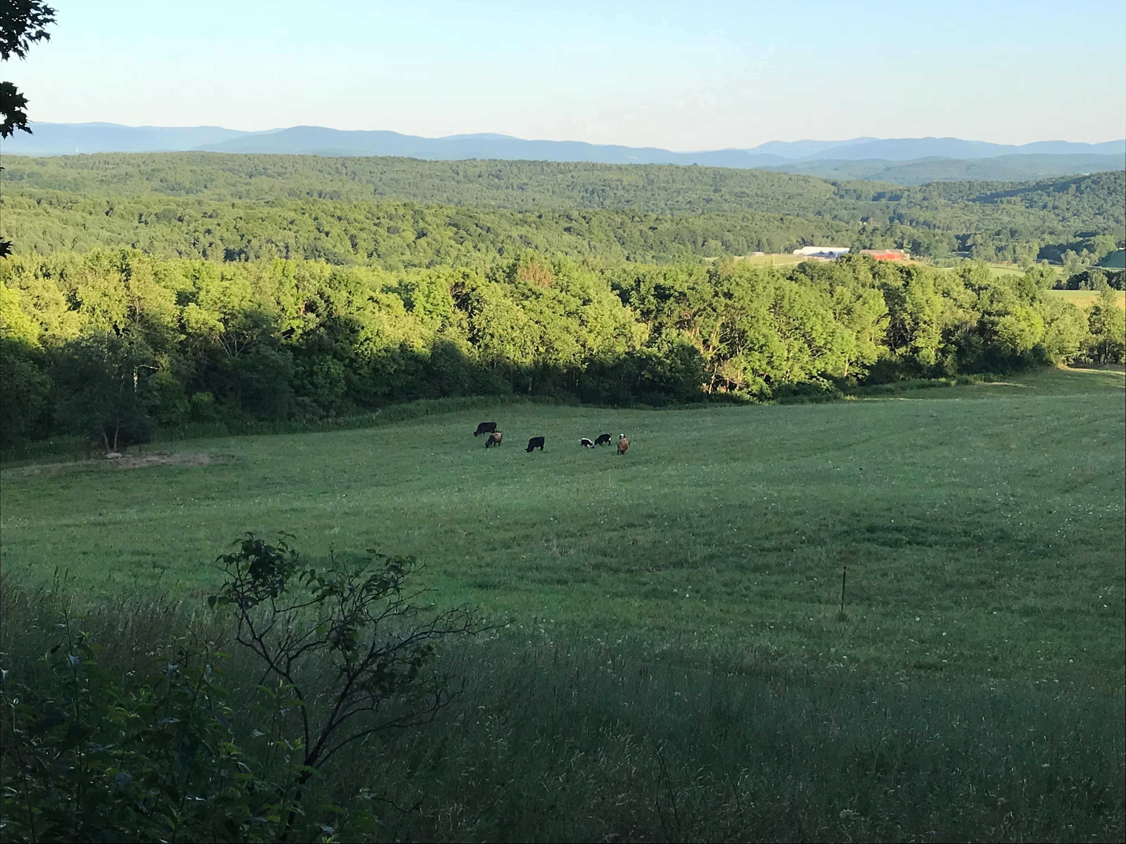 Runamuk Farm