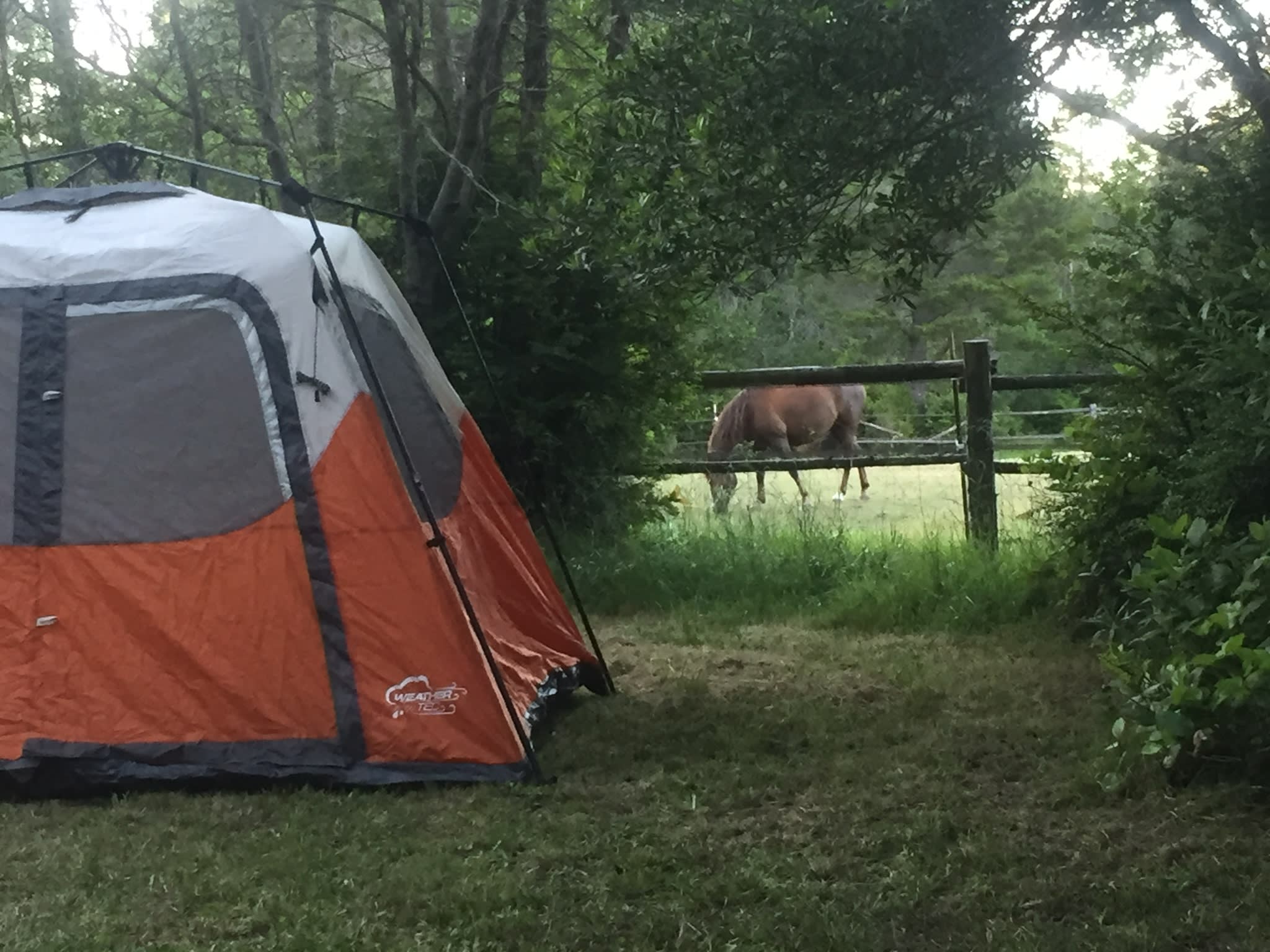 Camping at Dew Valley Ranch