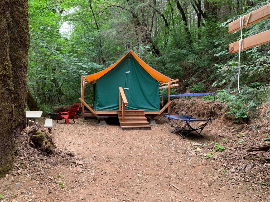 Our mini glamping site - brand new