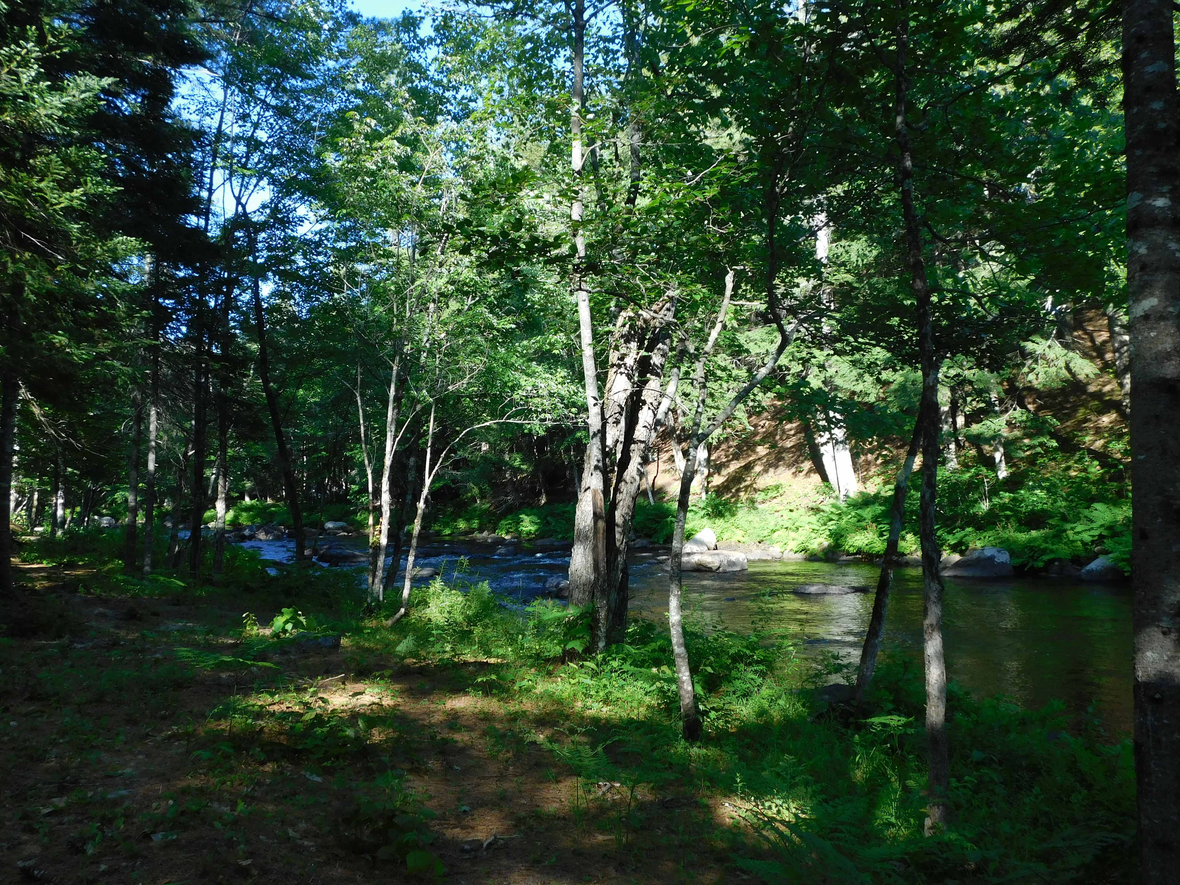 View from Lot 4, 5 & 6 