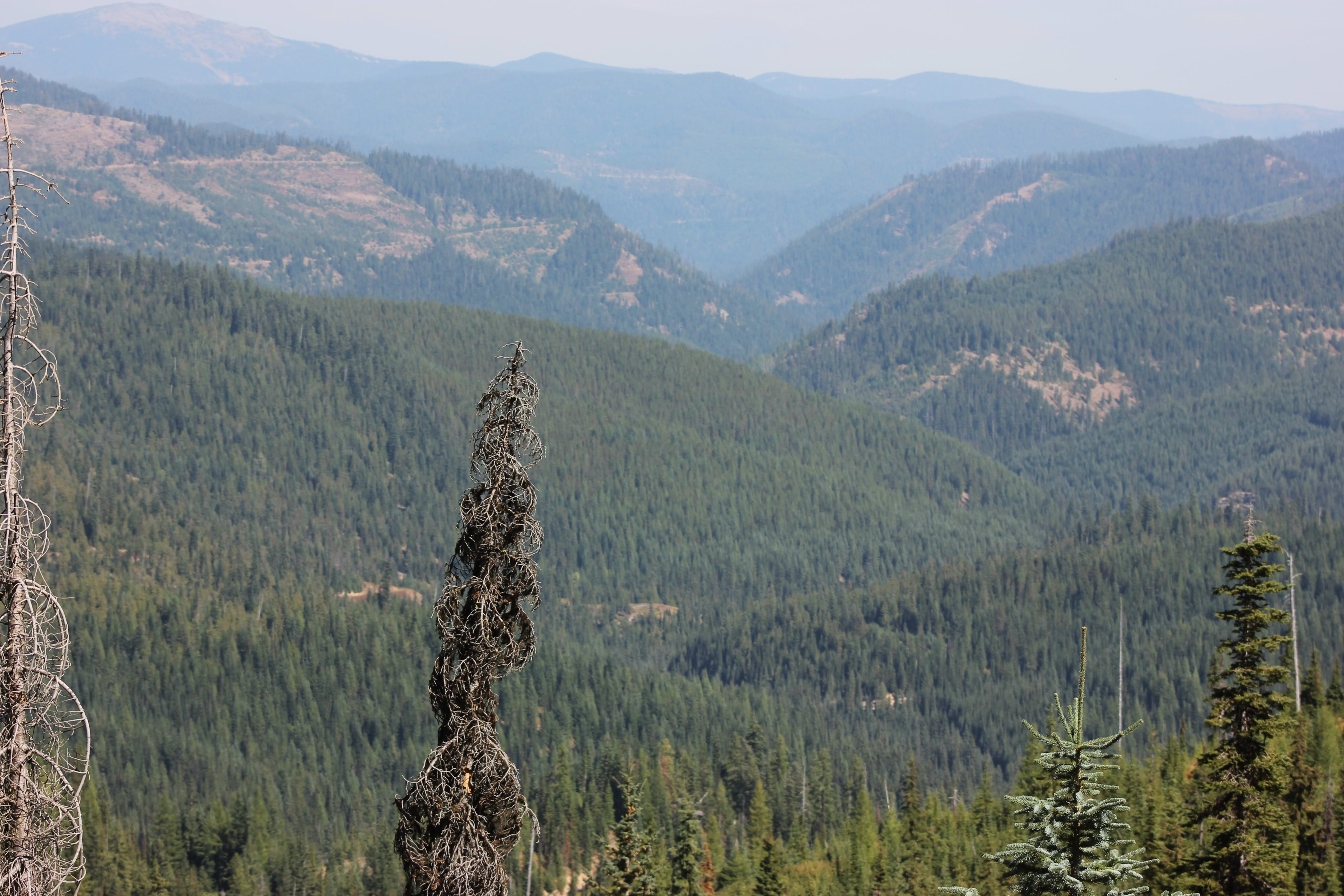 Idaho Panhandle National Forests