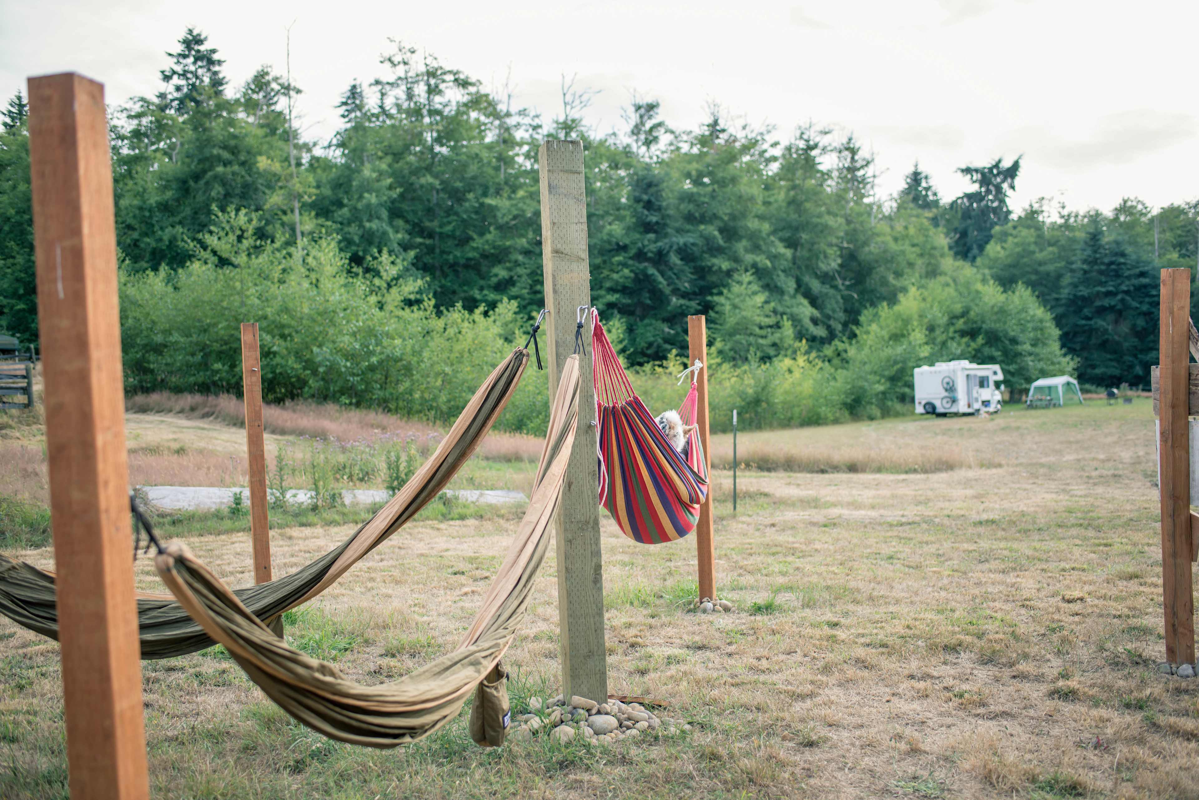 Fern Gully Camp