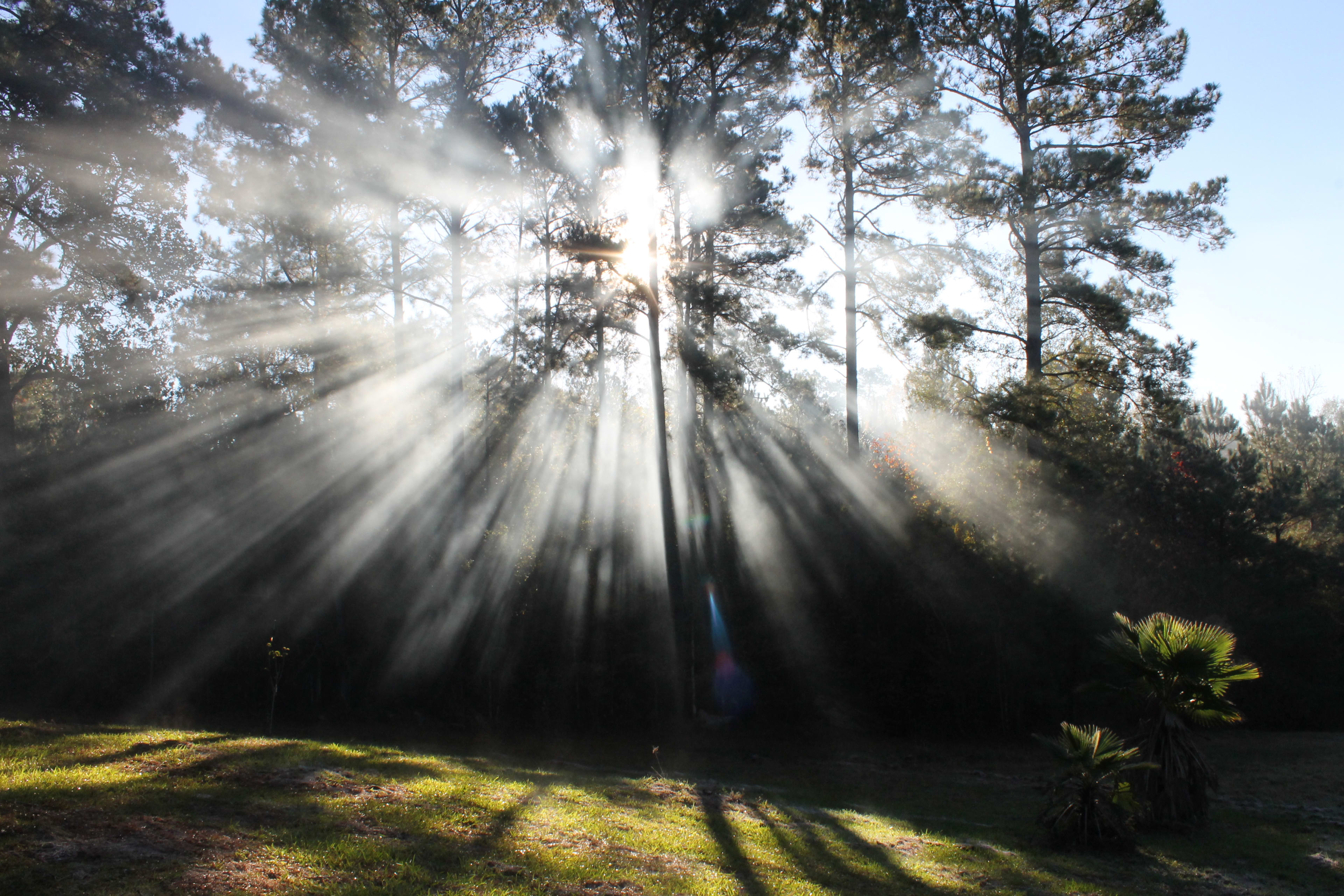 the sun shines brighter at the Divine Mercy Family Camp!